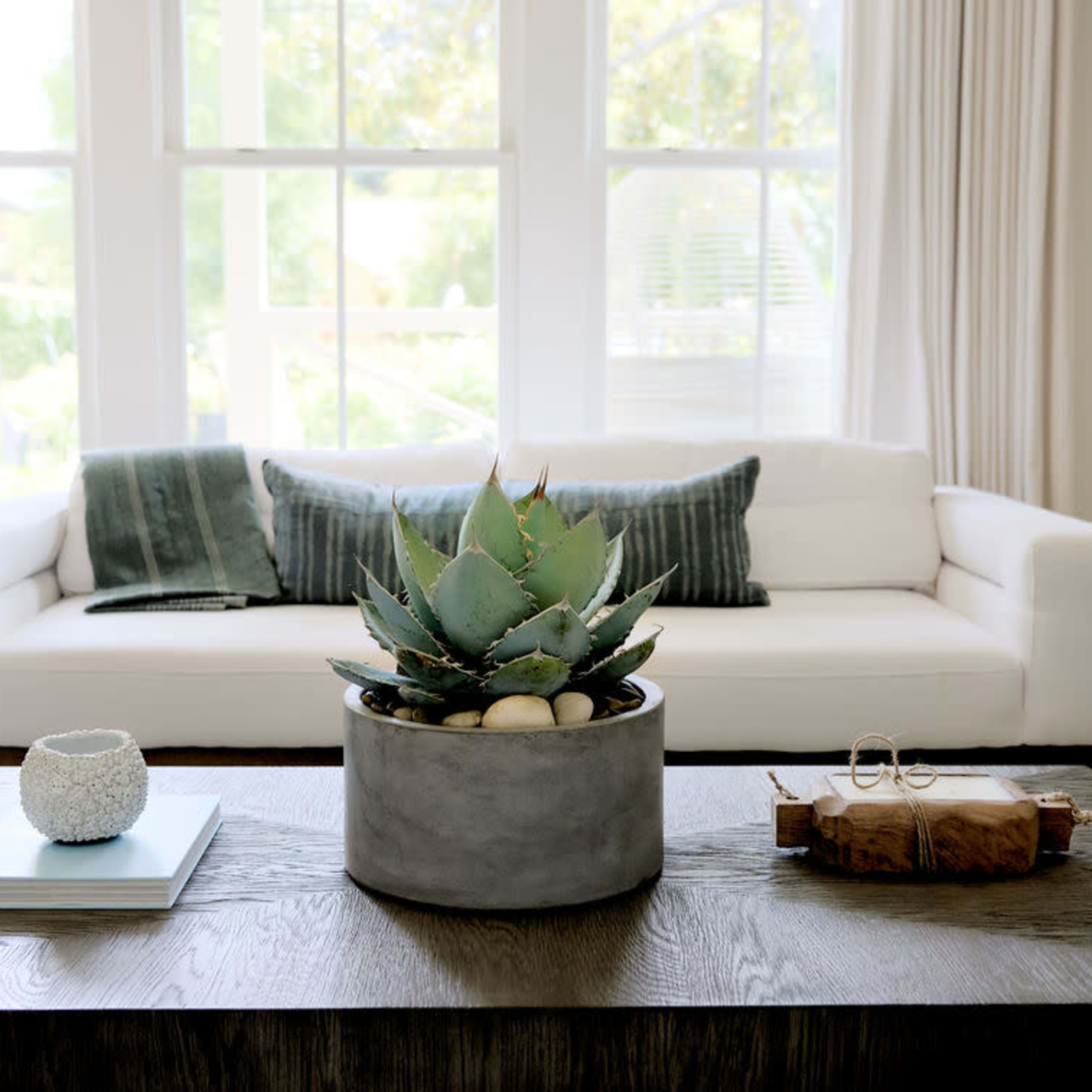 Meticulously Designed Modern Farmhouse with Scandinavian Aesthetic Image in , Mill Valley, CA