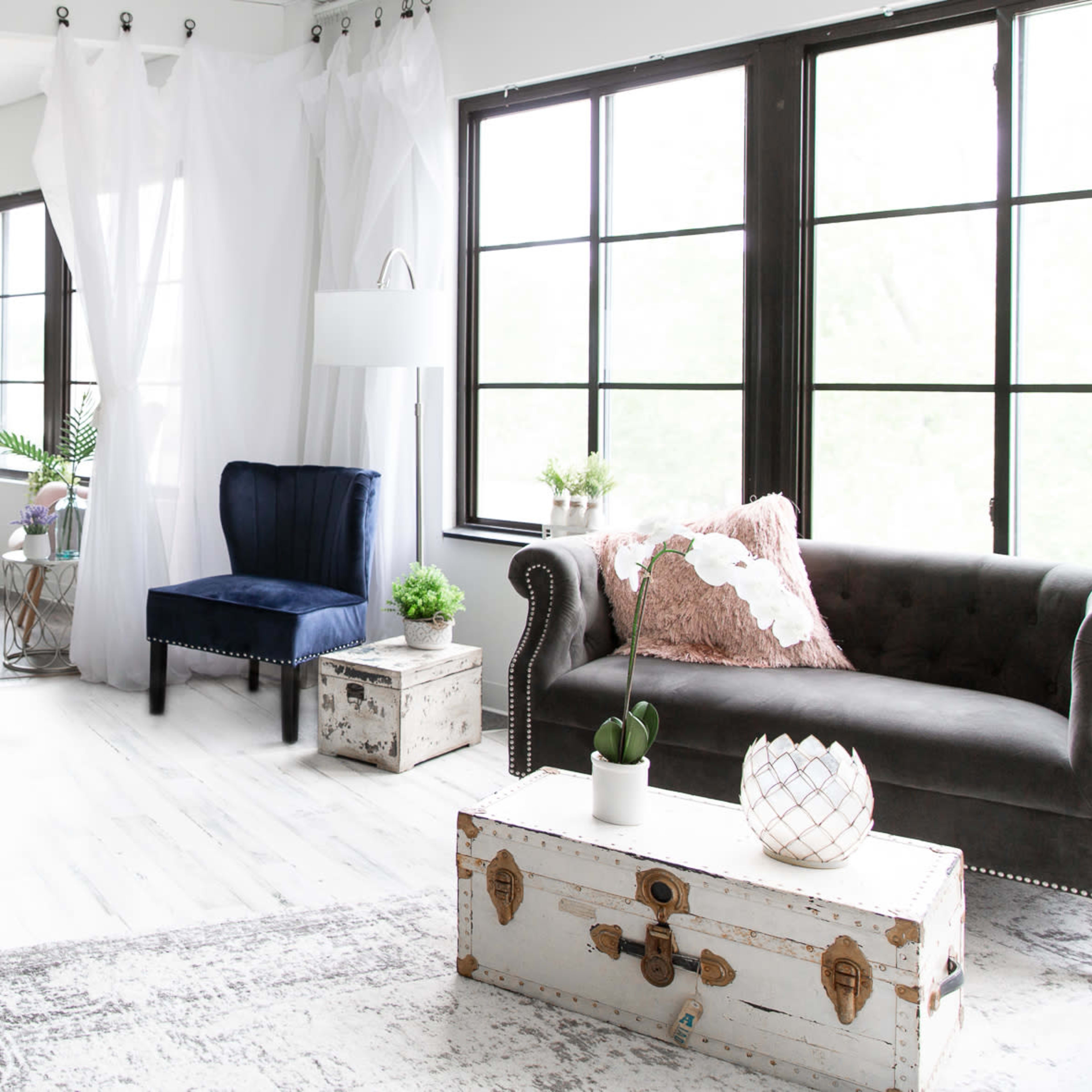 A bright, modern interior space with white walls, large windows, and a mix of furniture including a velvet chair, a sofa, and various plants.