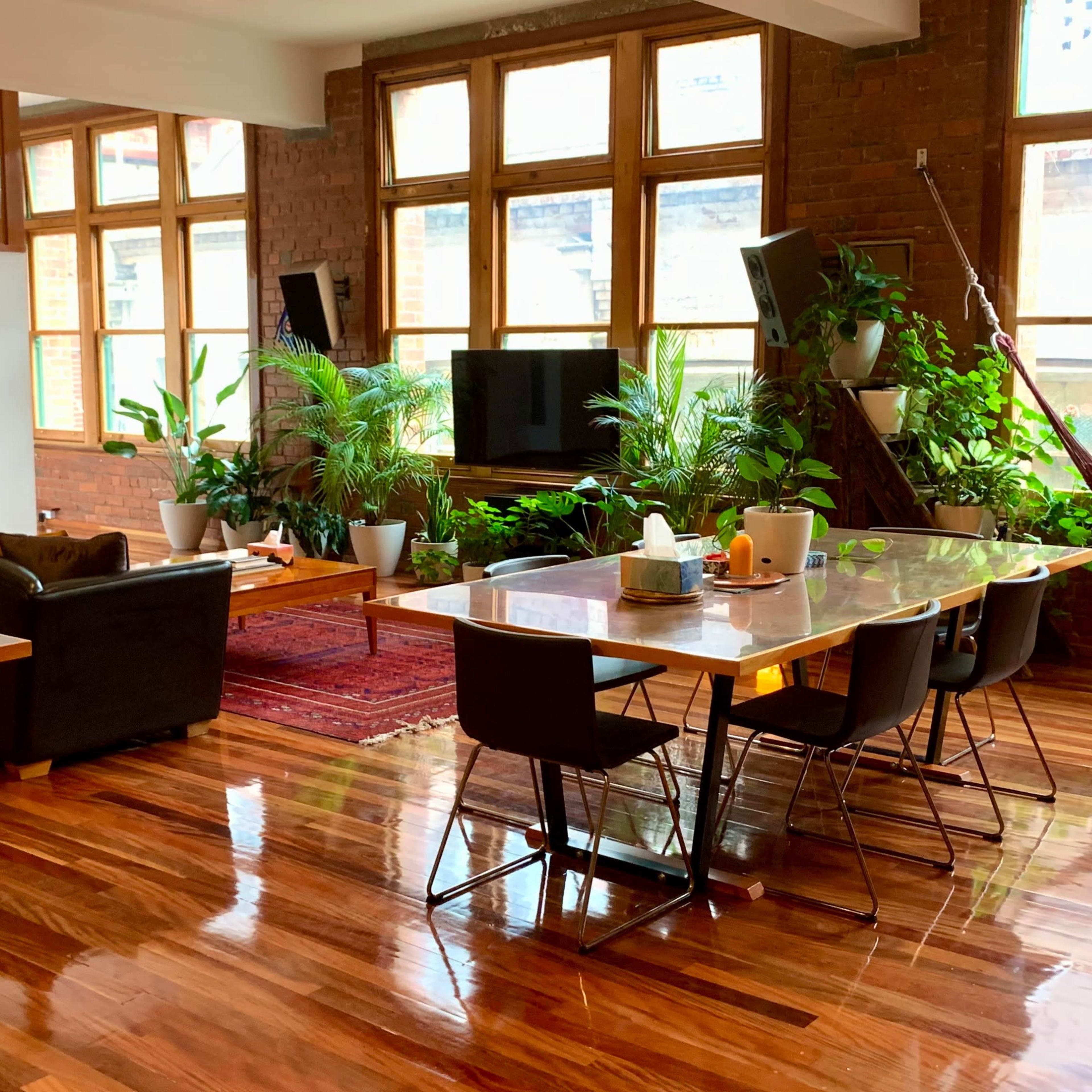 A spacious living area featuring a dining table, a black sofa, large windows, numerous indoor plants, and polished wooden floors.