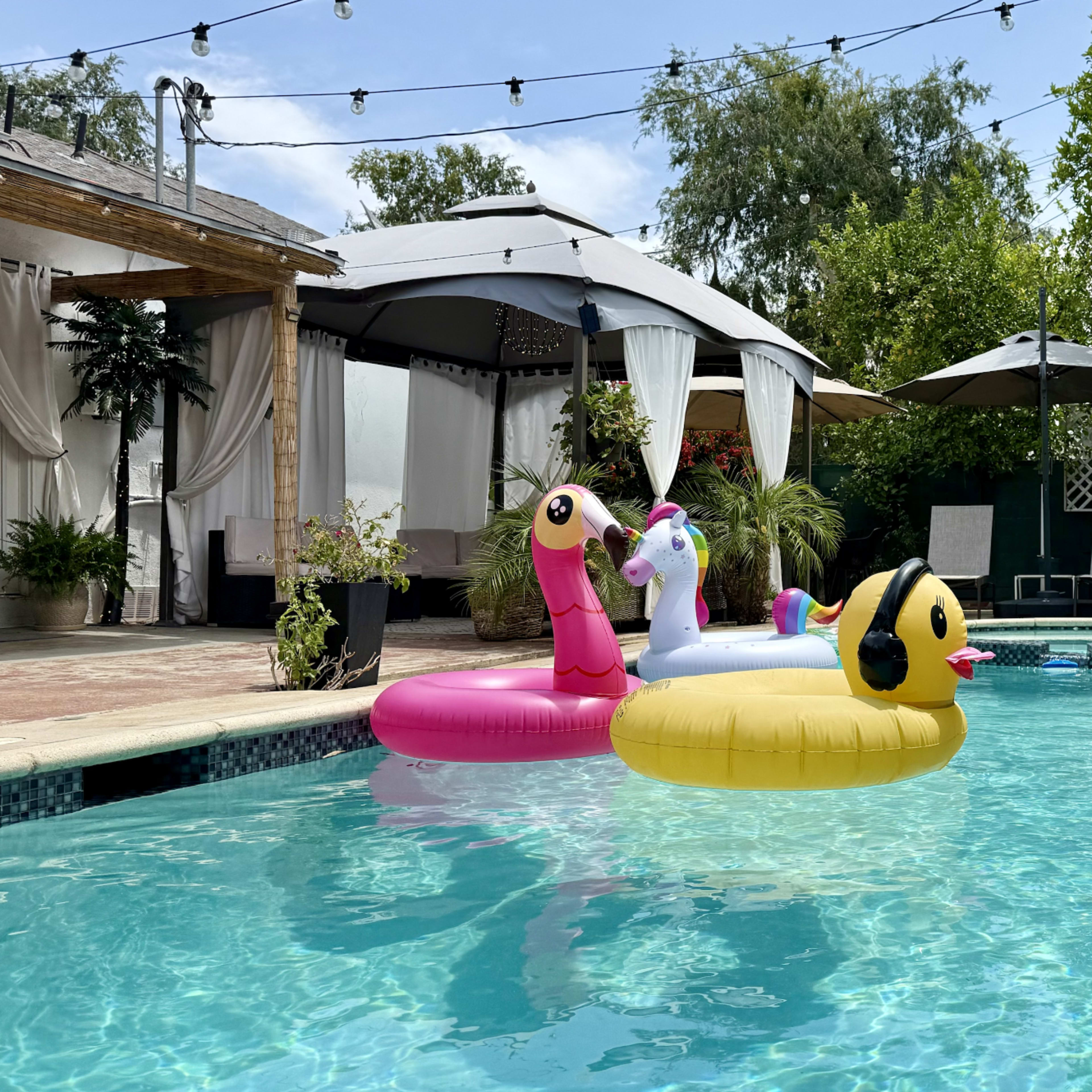 Gated Hidden Paradise Pool Image in Canoga Park, Los Angeles, CA