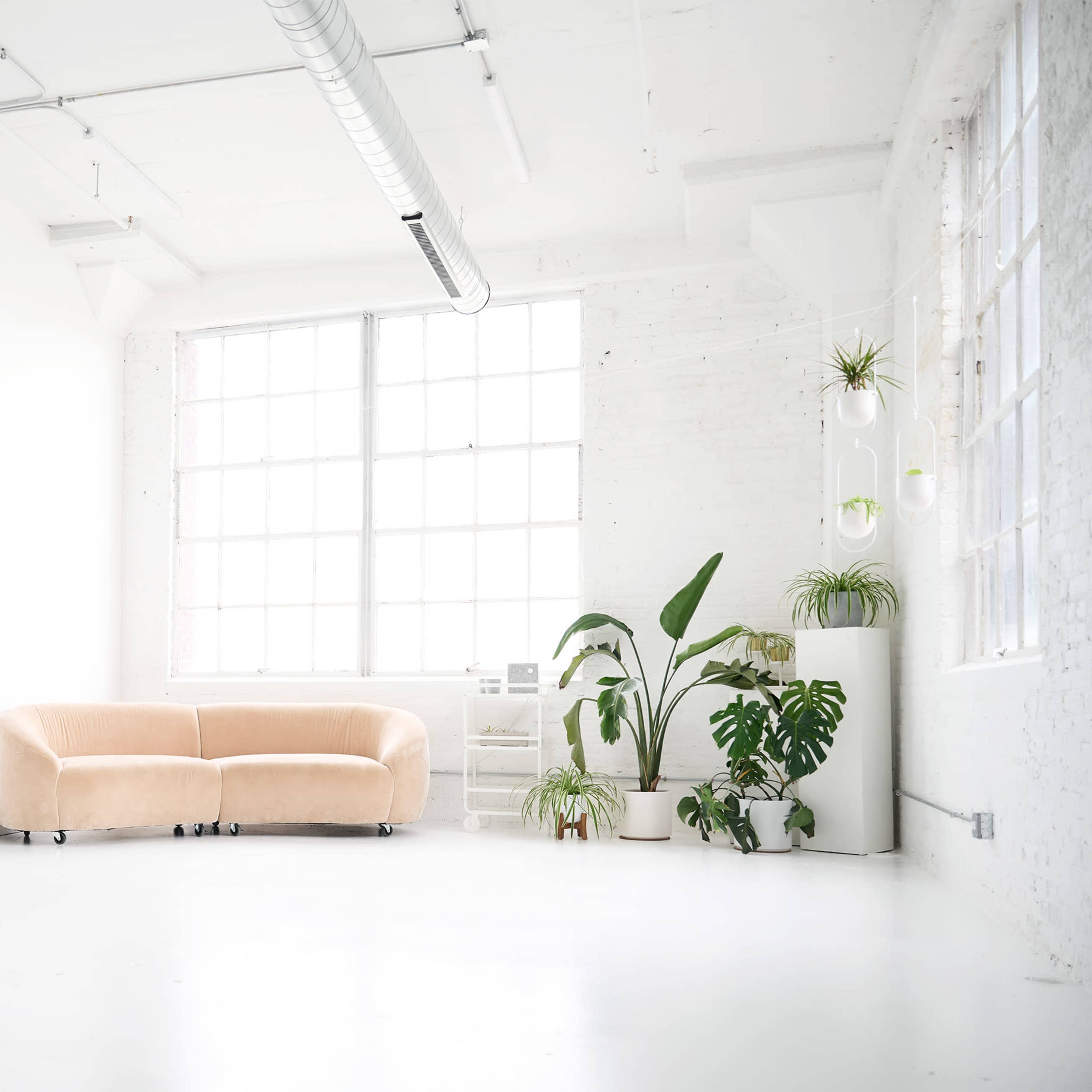 A minimalist room features a light-colored, curved sofa and several plants against a white backdrop with large windows.