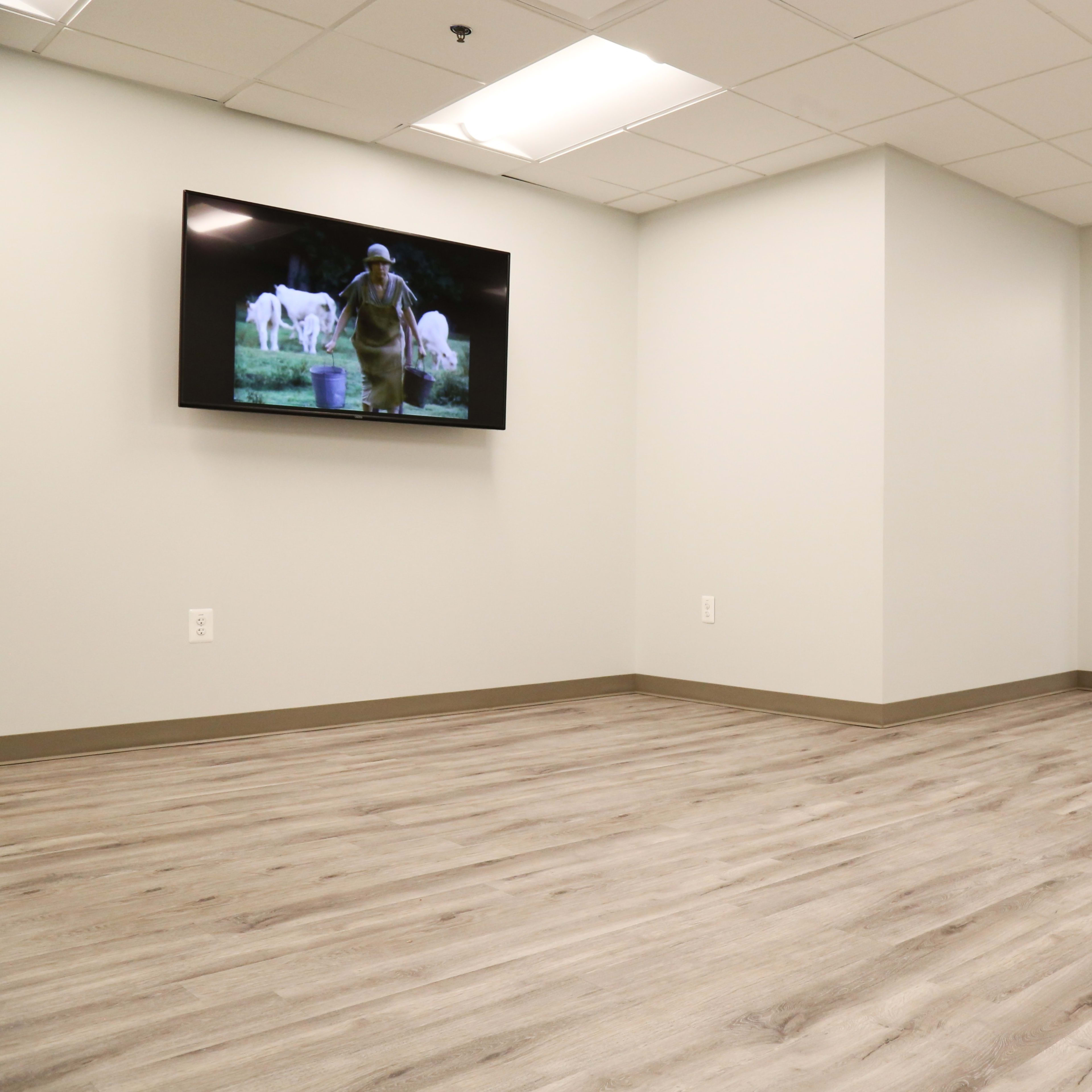 A sparsely furnished room with light gray walls, wooden floors, and a television mounted on the wall displaying a scene with a person and animals.