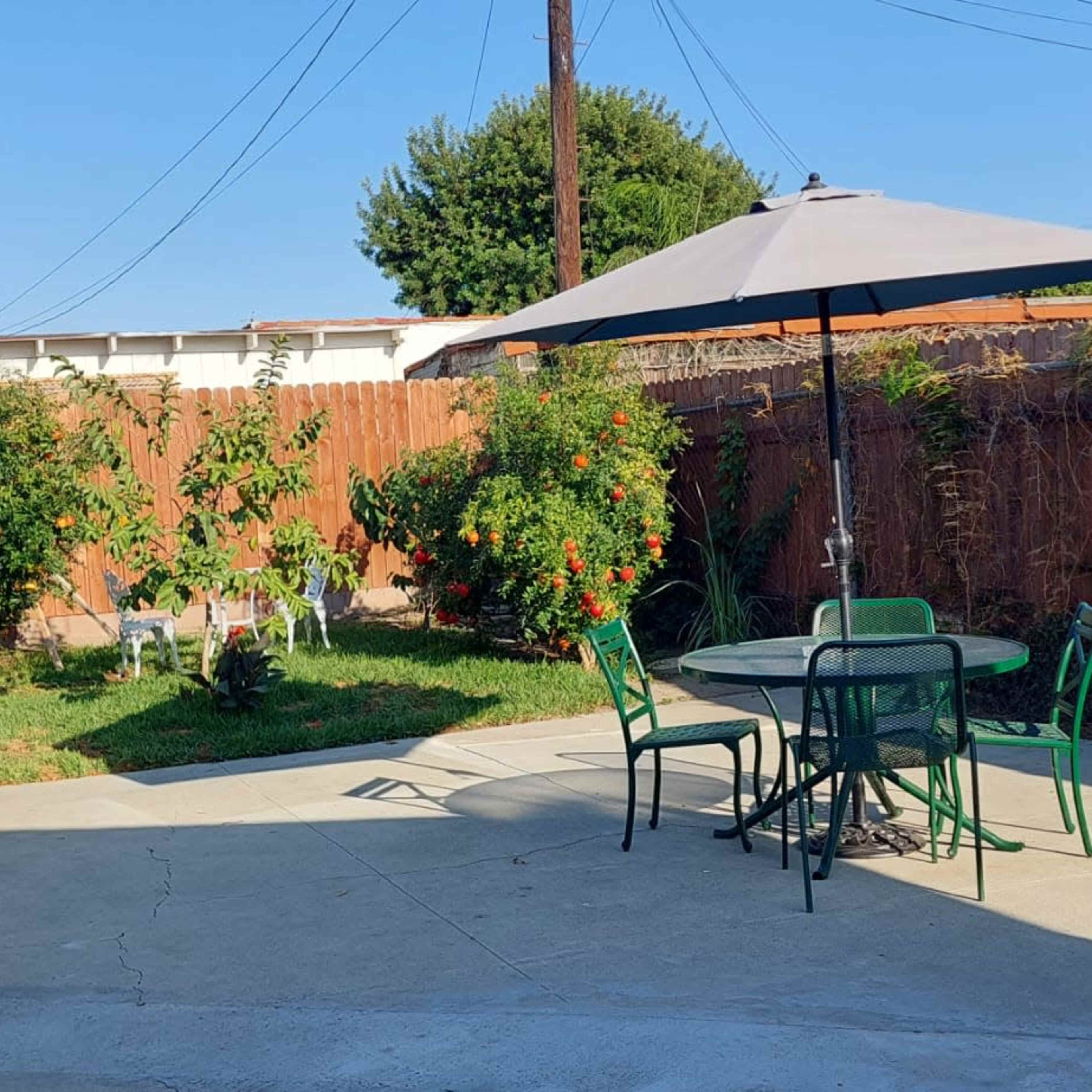 A backyard with a round table and chairs under a gray umbrella, surrounded by green grass and plants.