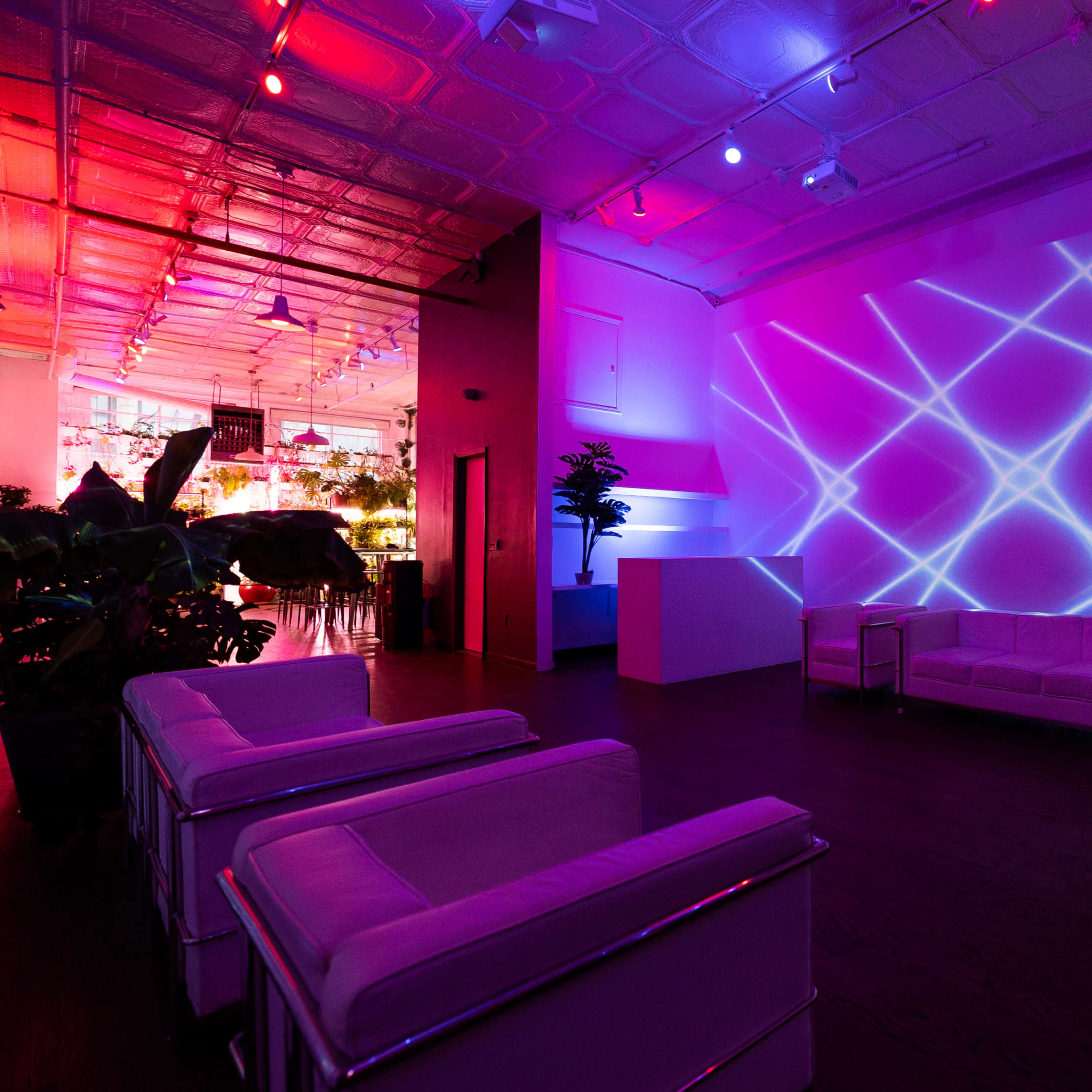 A modern interior space features a white couch and plants, with colorful lights casting geometric patterns on the walls.