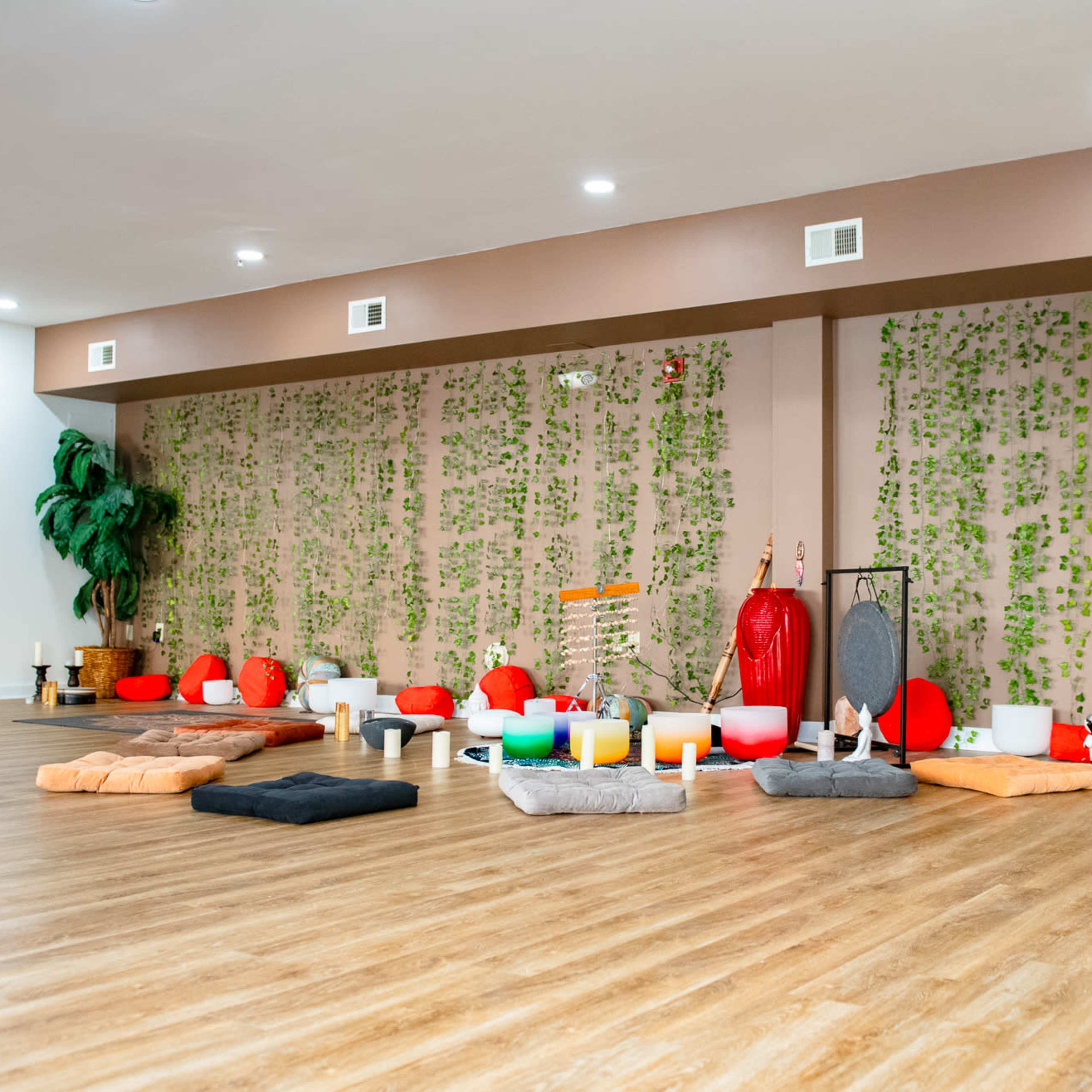 Balance and Bliss Studio: A Sanctuary   for Wellness Image in Downtown, Norfolk, VA