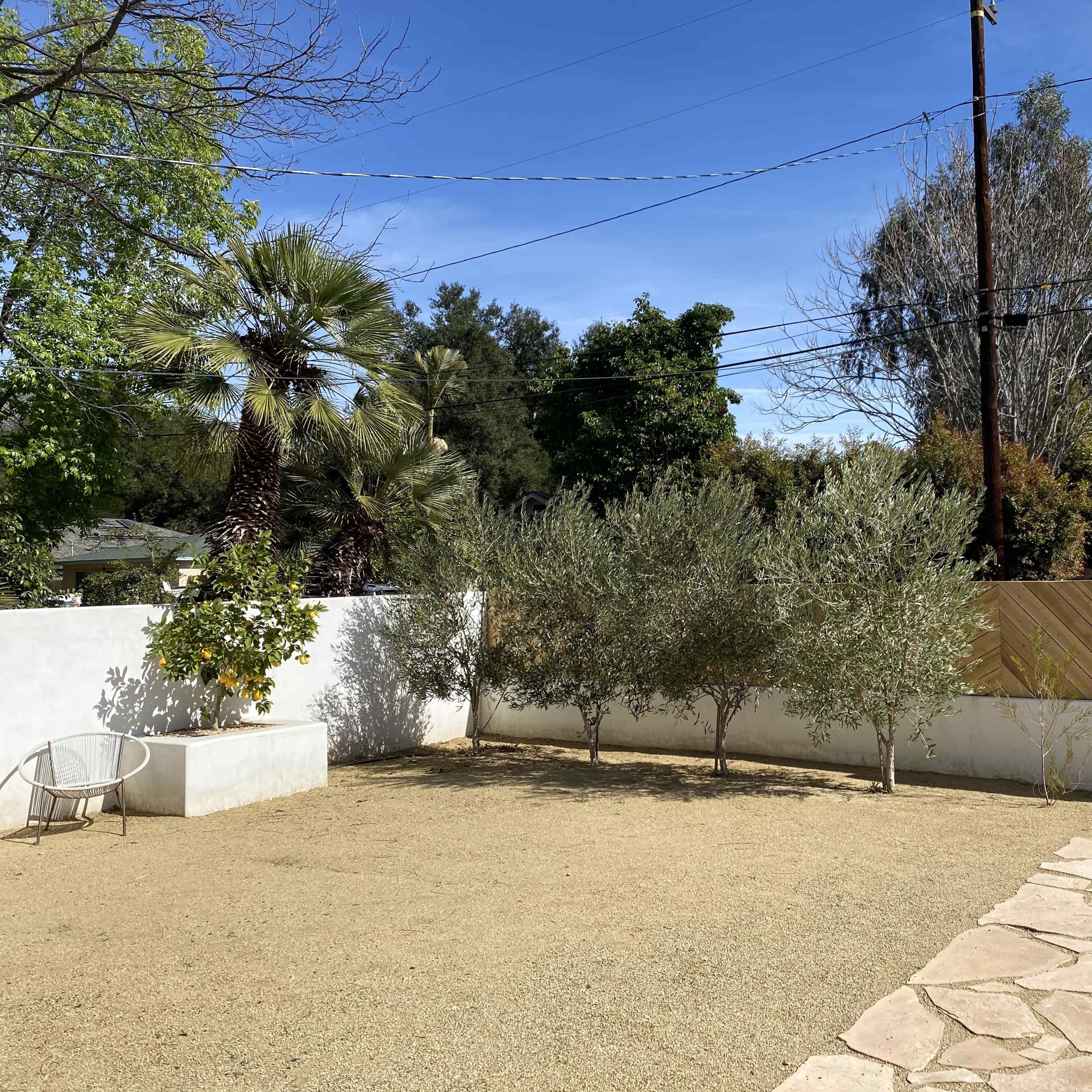A landscaped yard with a gravel surface, olive trees, a wooden gate, and a stone pathway leading to an archway.
