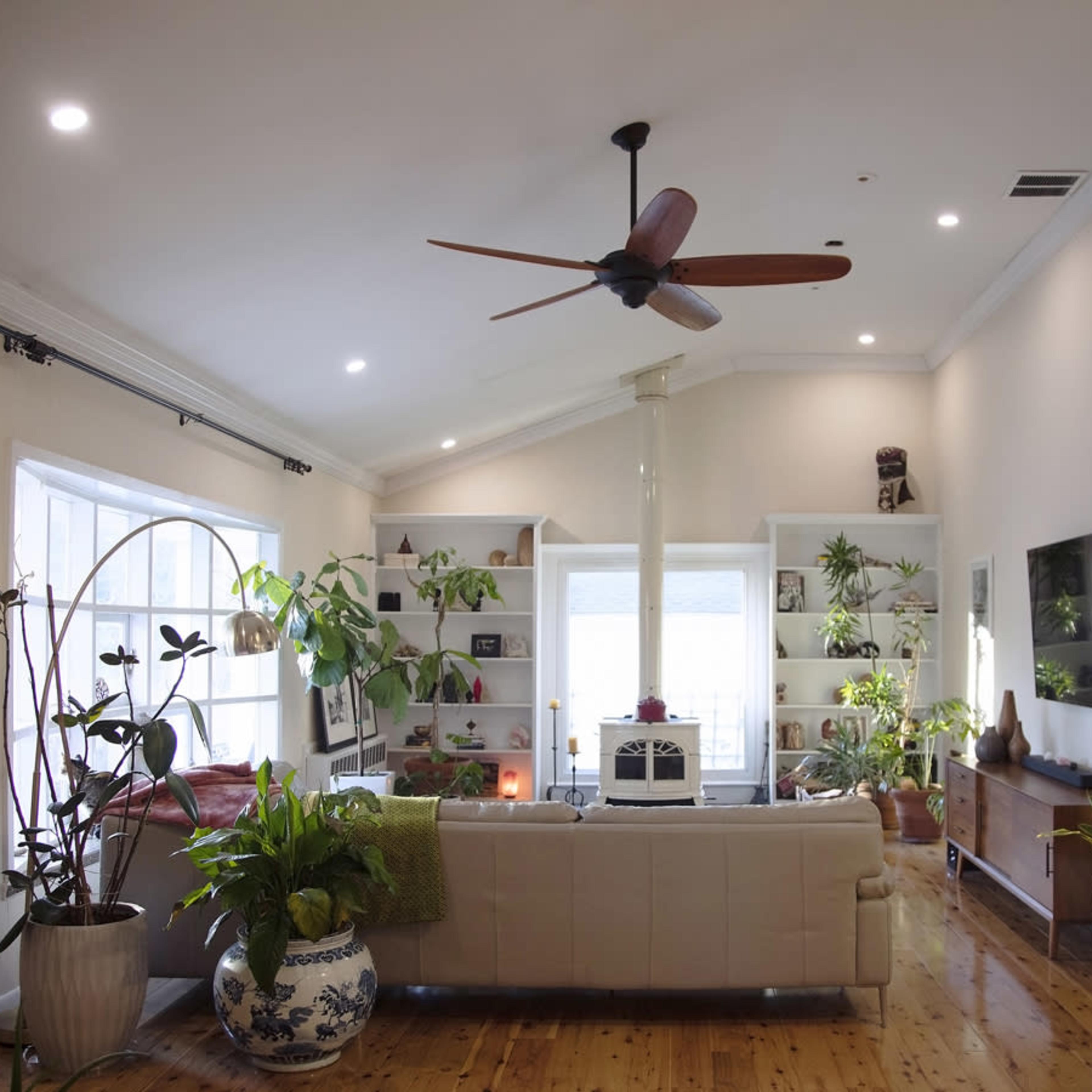 A spacious living room with a large window, a light-colored couch, houseplants, and shelves filled with decorative items.
