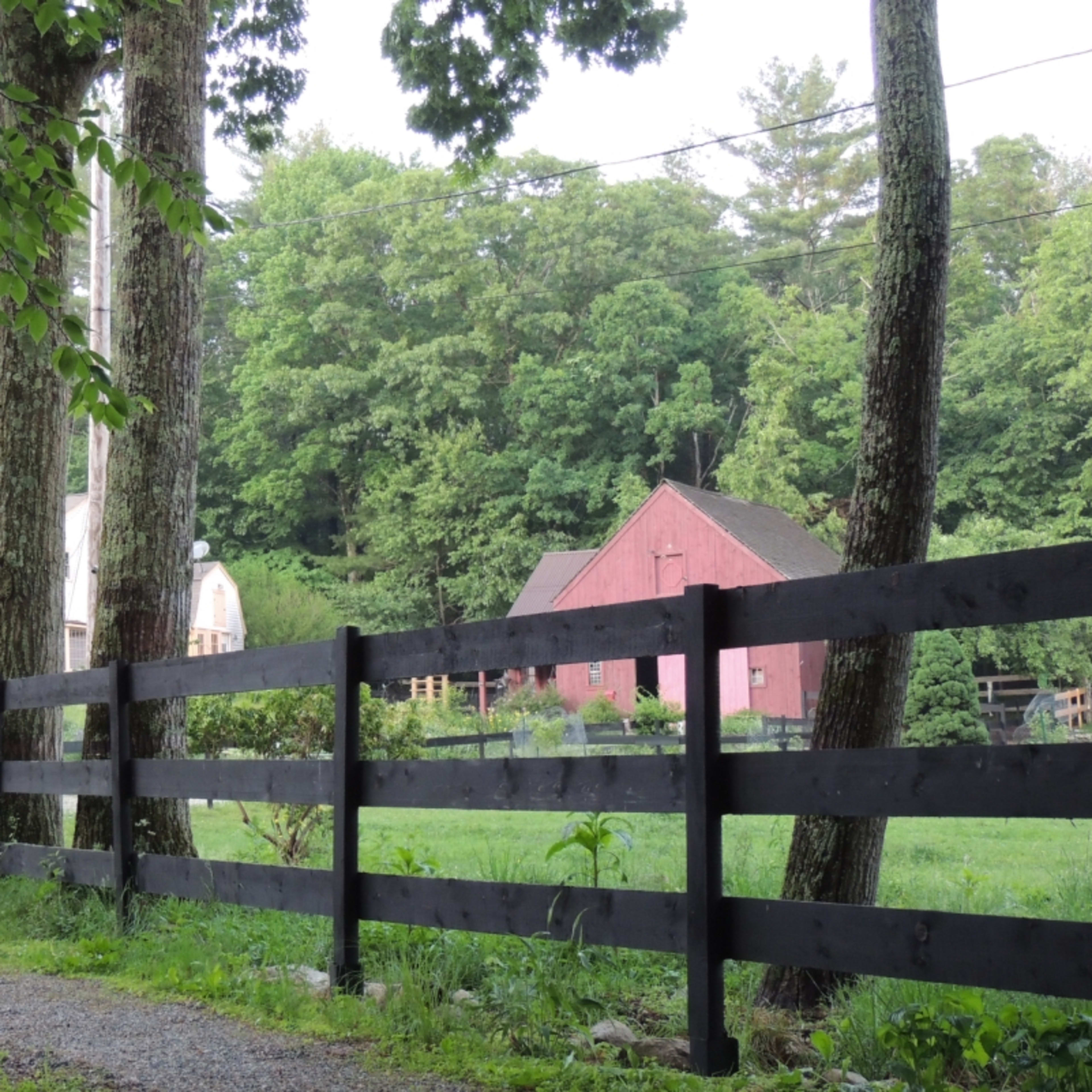 A gravel path leads to a white house and a red barn, surrounded by trees and greenery.