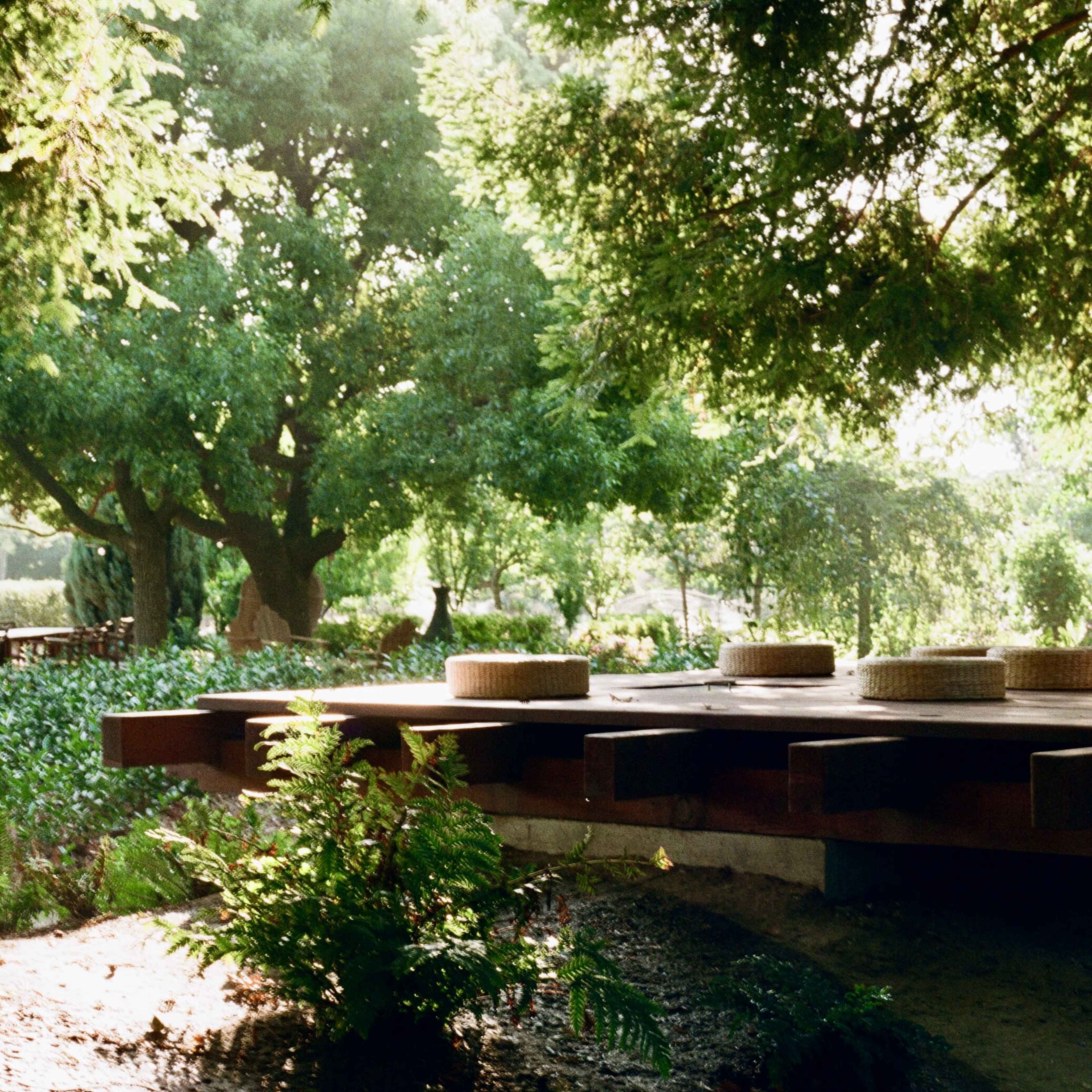 A wooden platform with circular seating is surrounded by dense greenery and trees.