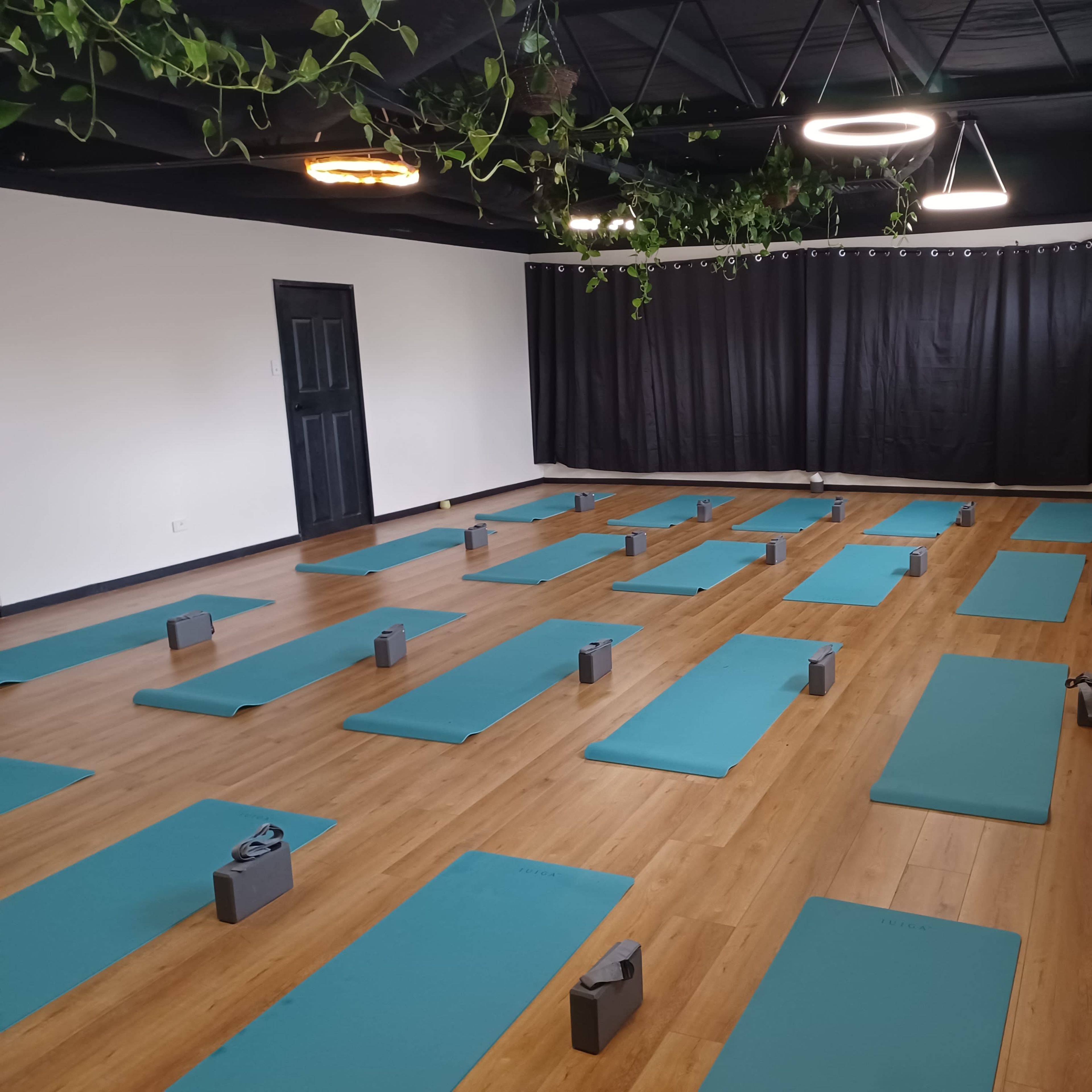 A yoga studio with turquoise mats arranged in rows, surrounded by dark curtains and overhead greenery.