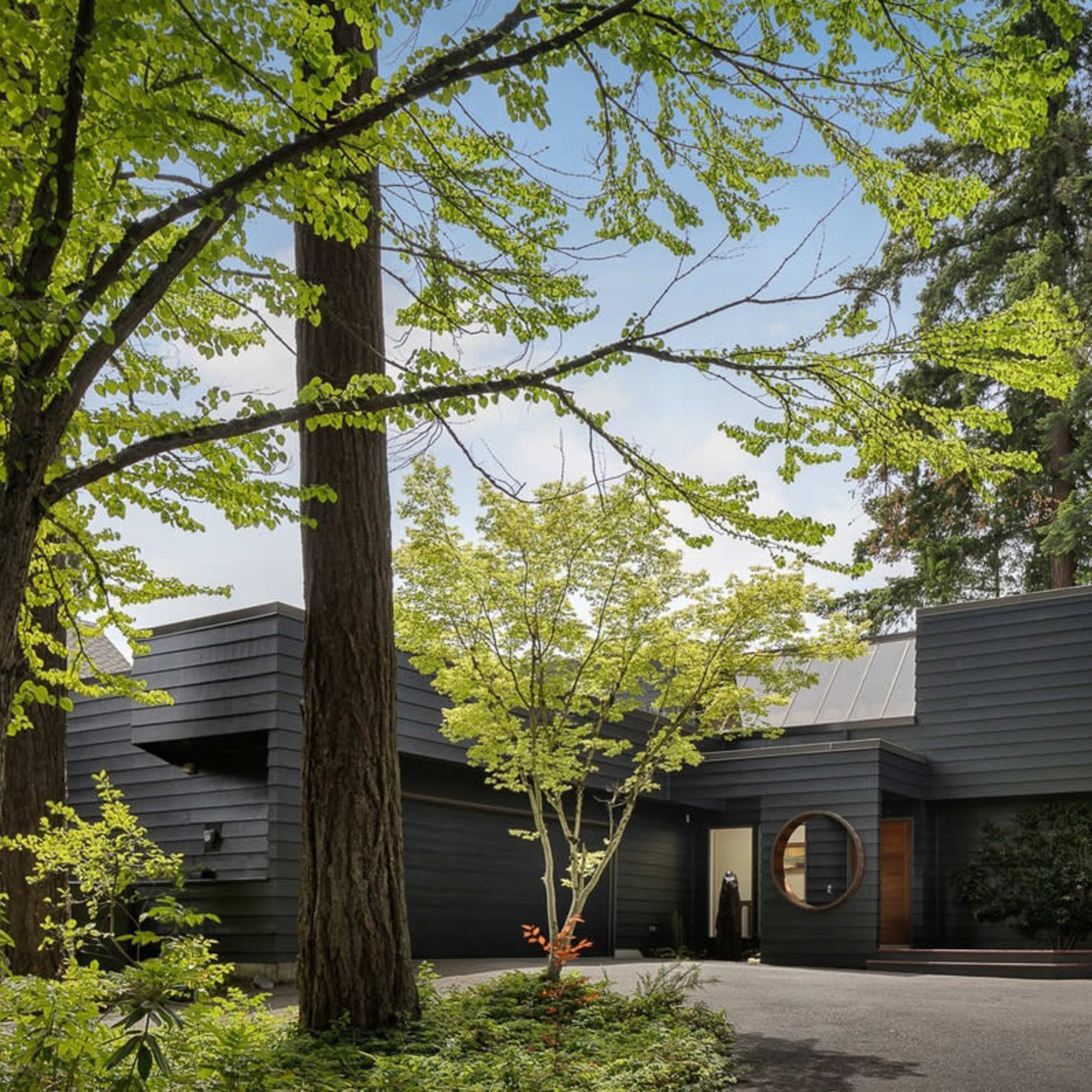 A modern black house with geometric shapes is surrounded by tall trees and lush greenery.
