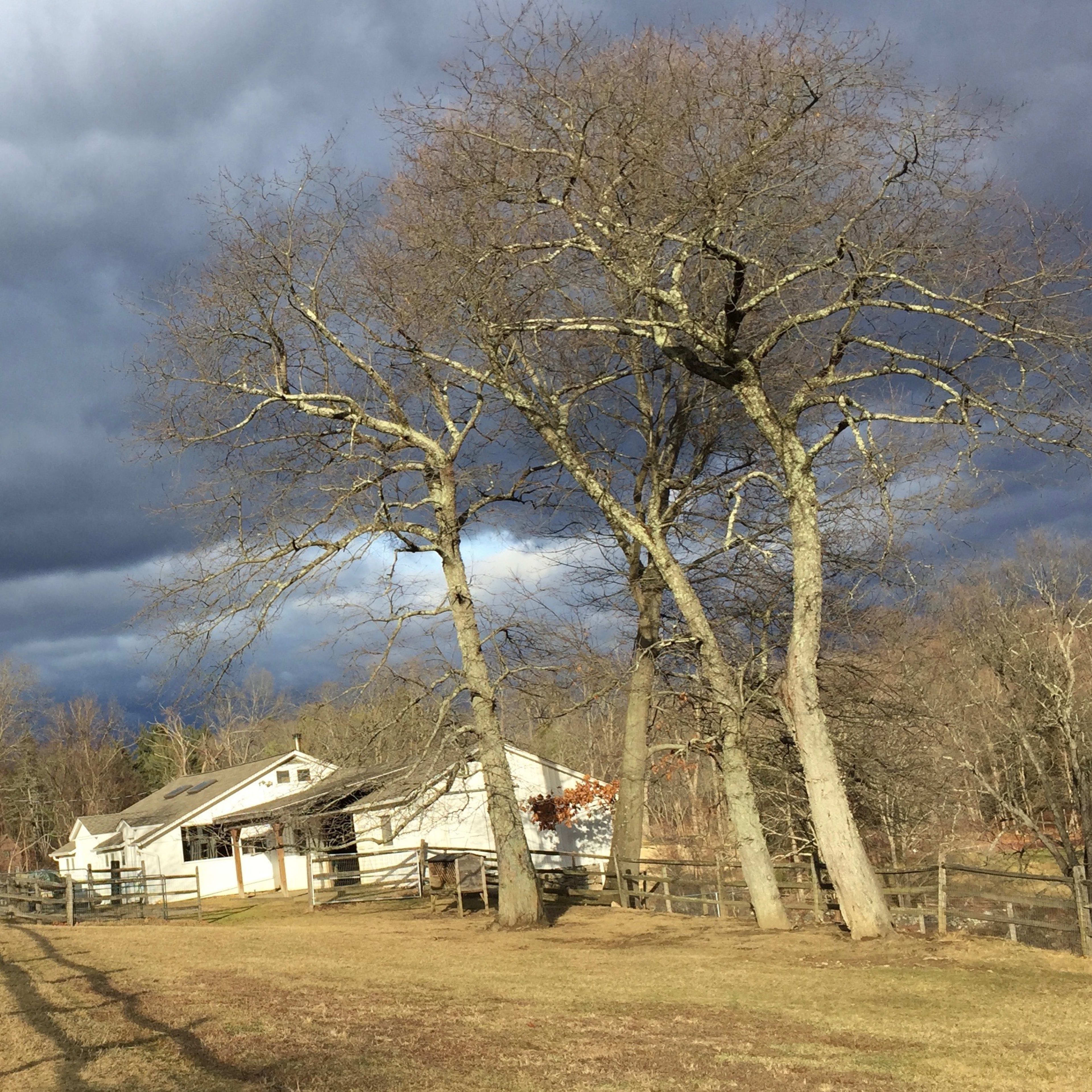 A dirt path lined with a wooden fence leads past bare trees and white buildings under a stormy sky.