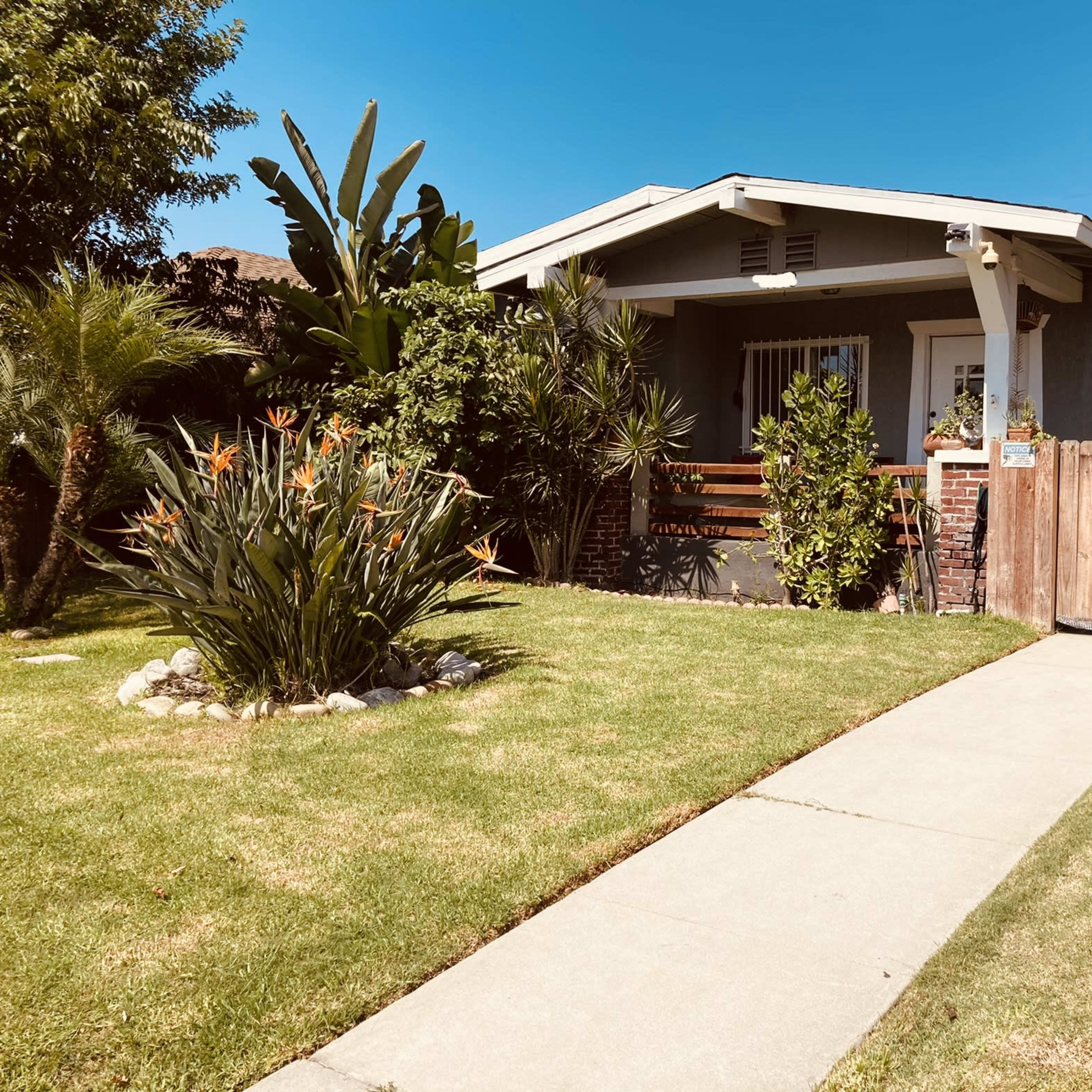 A single-story house with a front yard featuring a concrete pathway, landscaped plants, and a wooden fence.