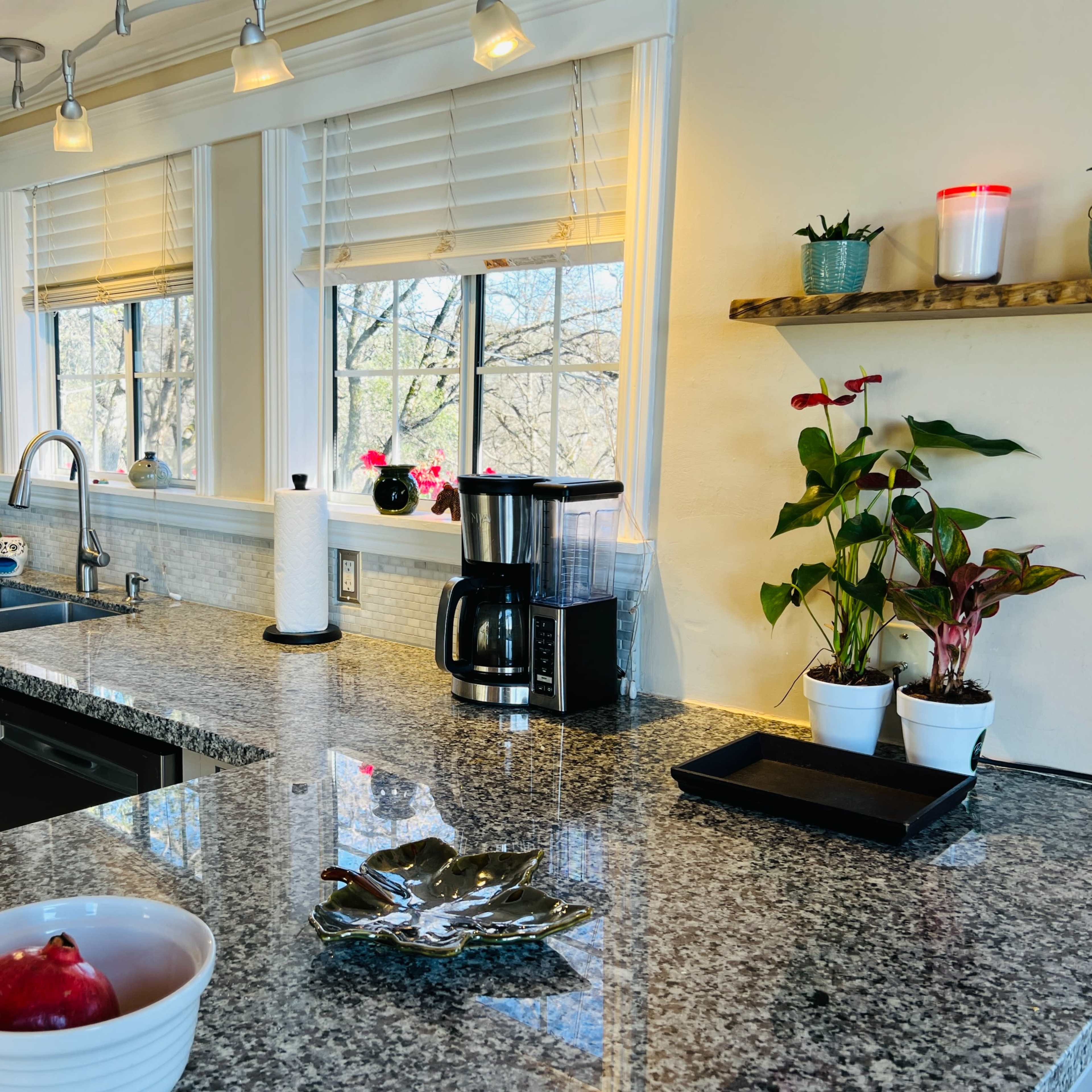 The kitchen features a granite countertop with a coffee maker, a bowl of fruit, plants on a shelf, and large windows providing natural light.