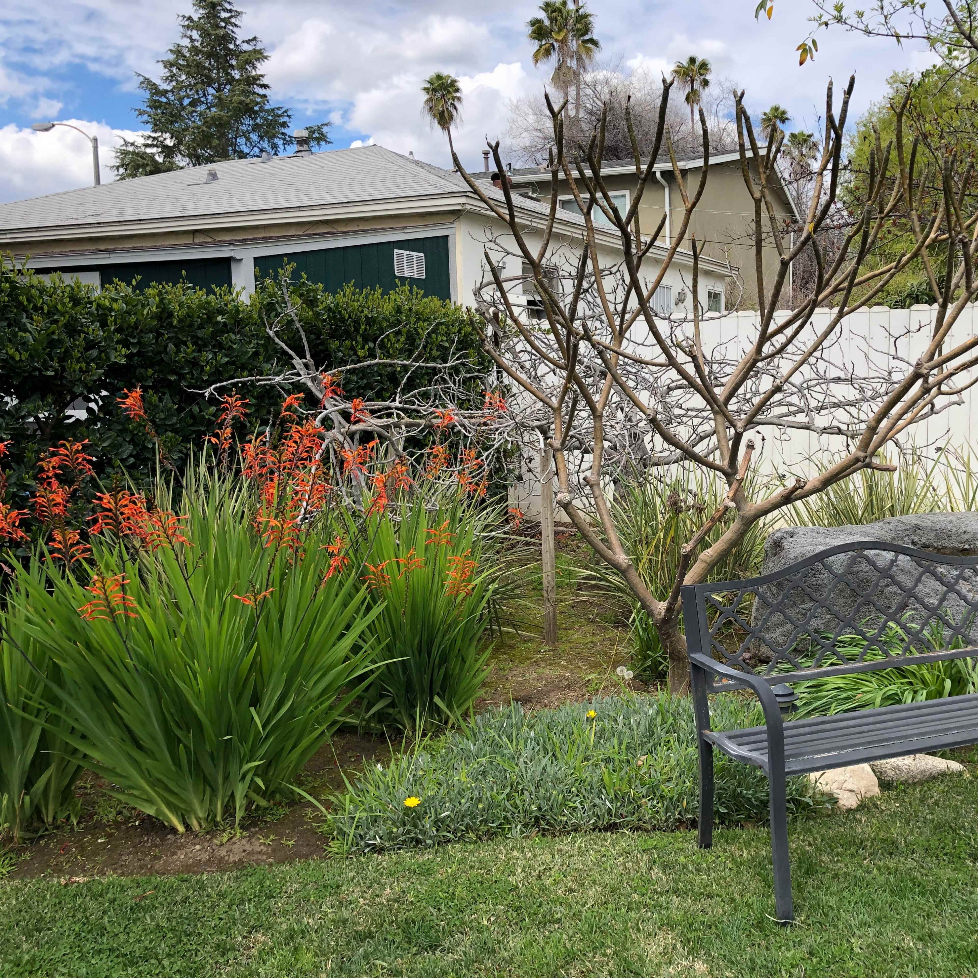 A metal bench sits in a garden surrounded by green plants and orange flowers, with a bare tree and a white fence in the background.