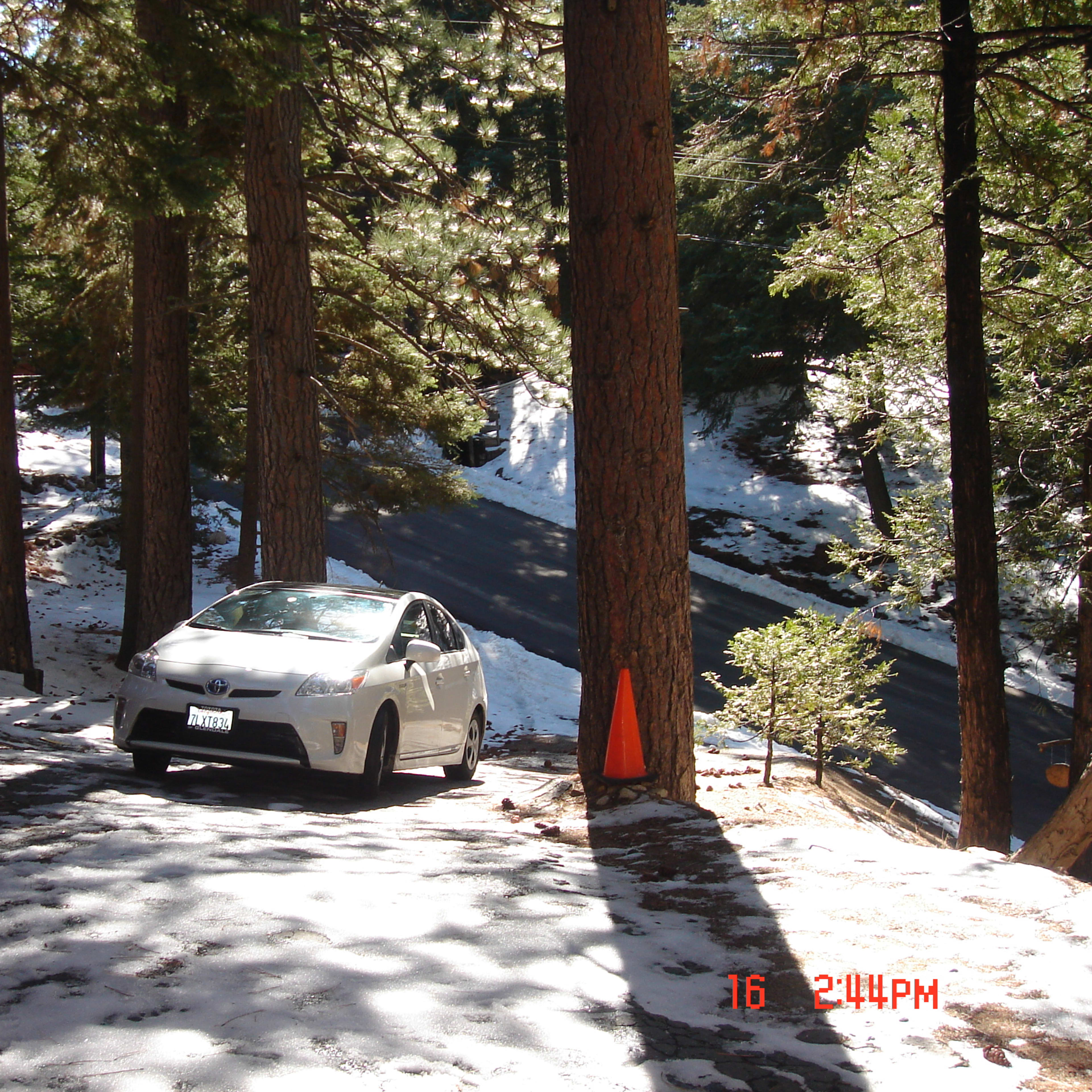 A white car is parked on a snowy road surrounded by tall trees.