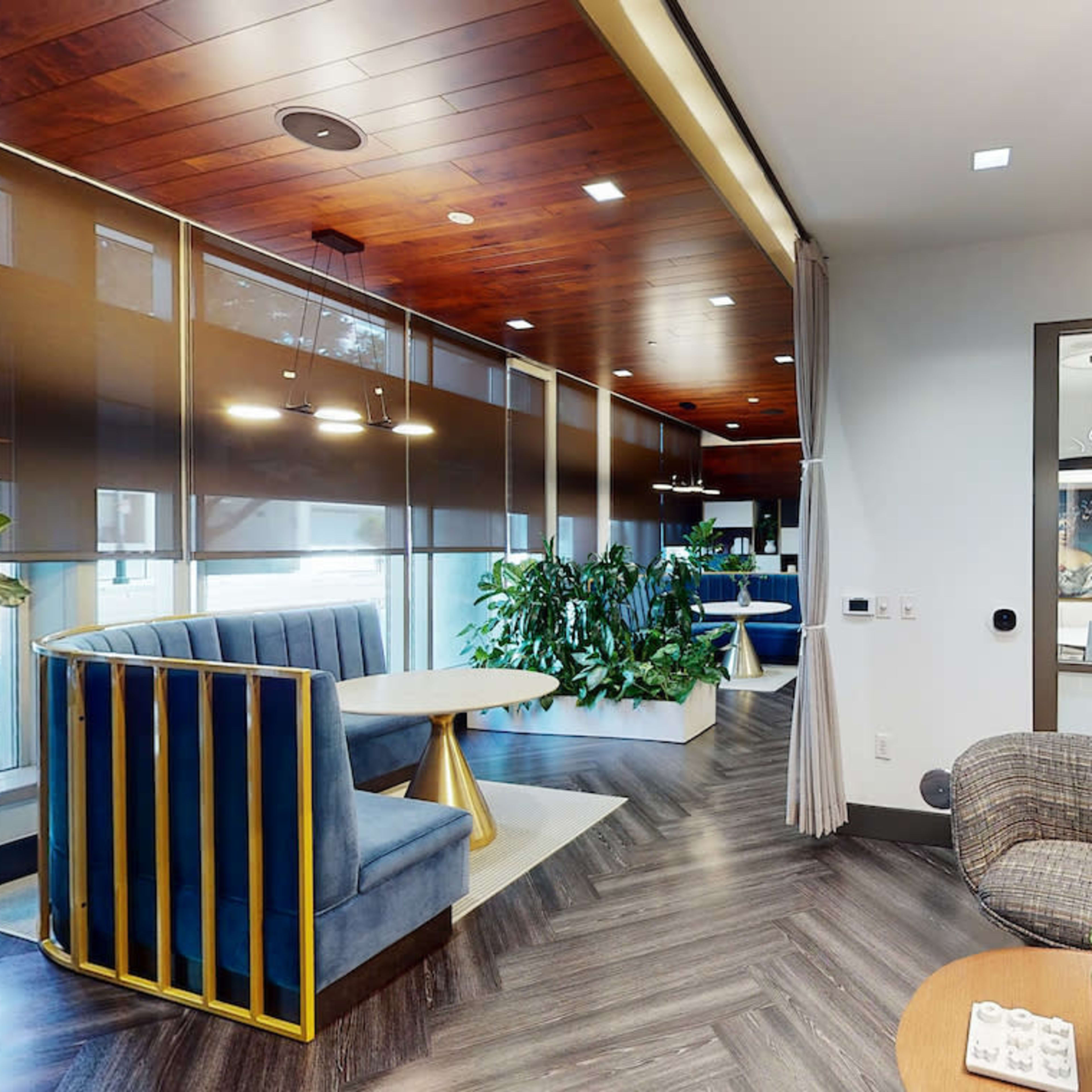 A modern office space featuring blue seating areas, large windows with blinds, and greenery throughout the room.
