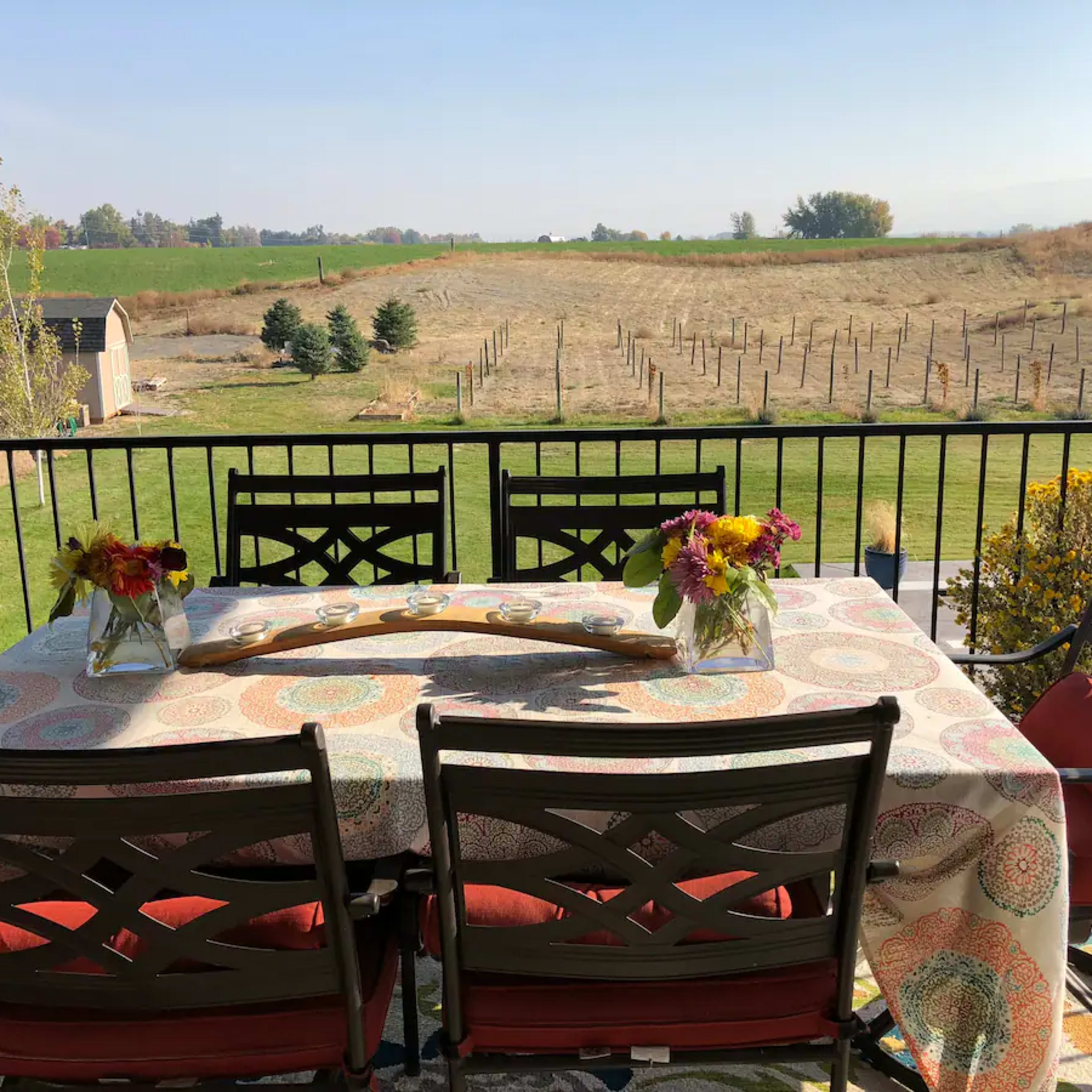 A dining table with colorful tablecloth and flowers sits on a balcony overlooking a green landscape and rows of grapevines.