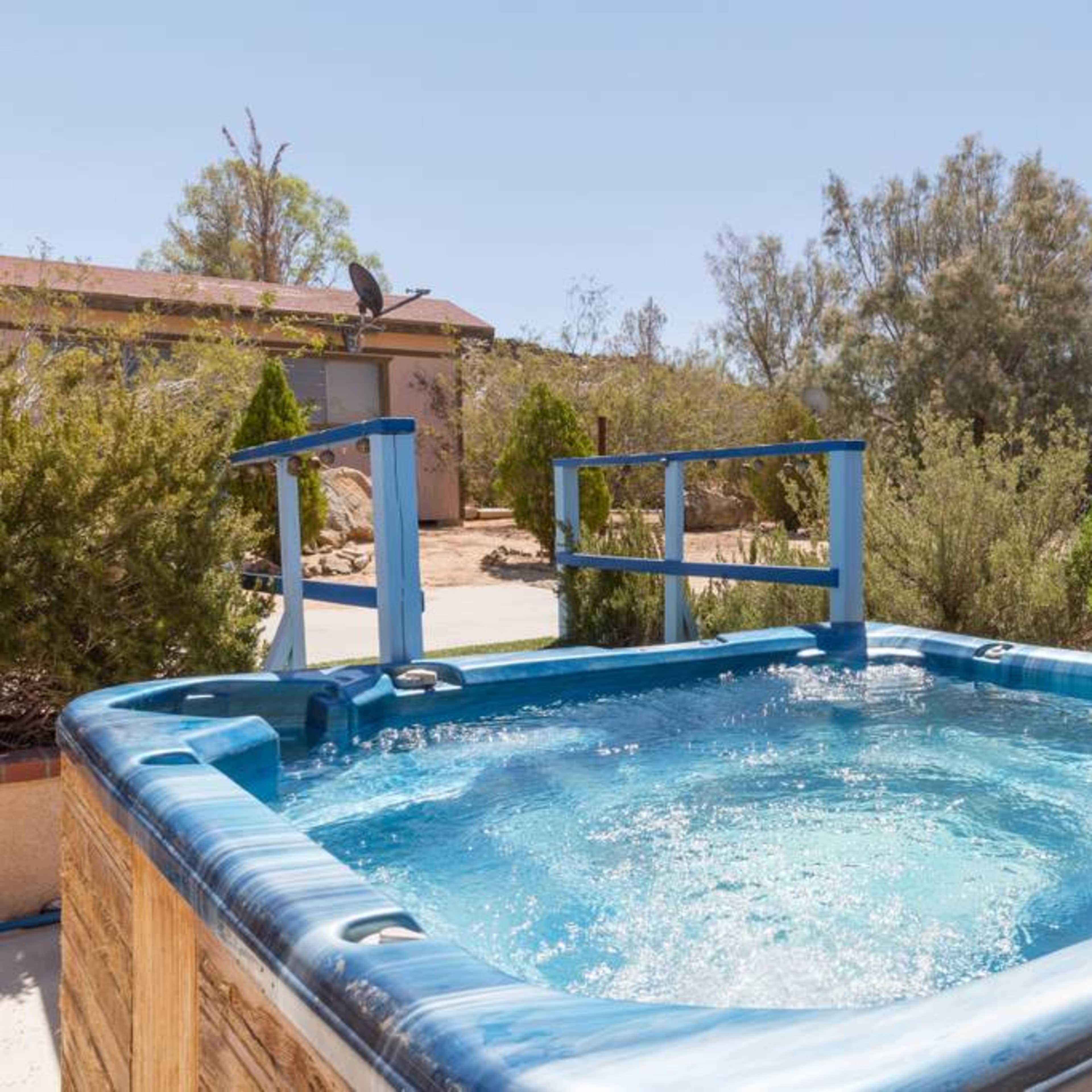 A hot tub filled with water surrounded by shrubs and trees in a sunny outdoor setting.