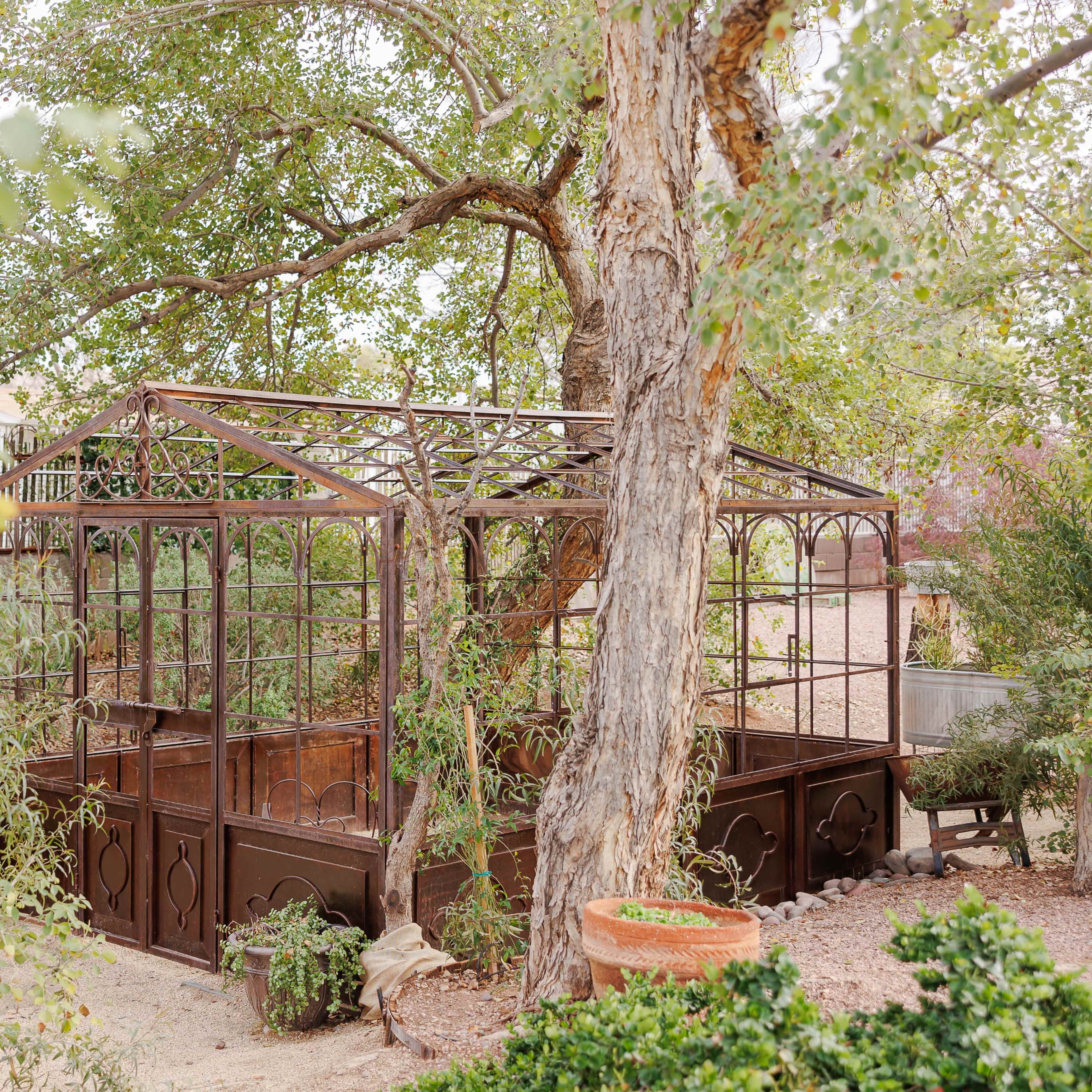 A metal-framed greenhouse is surrounded by trees and plants in a garden setting.