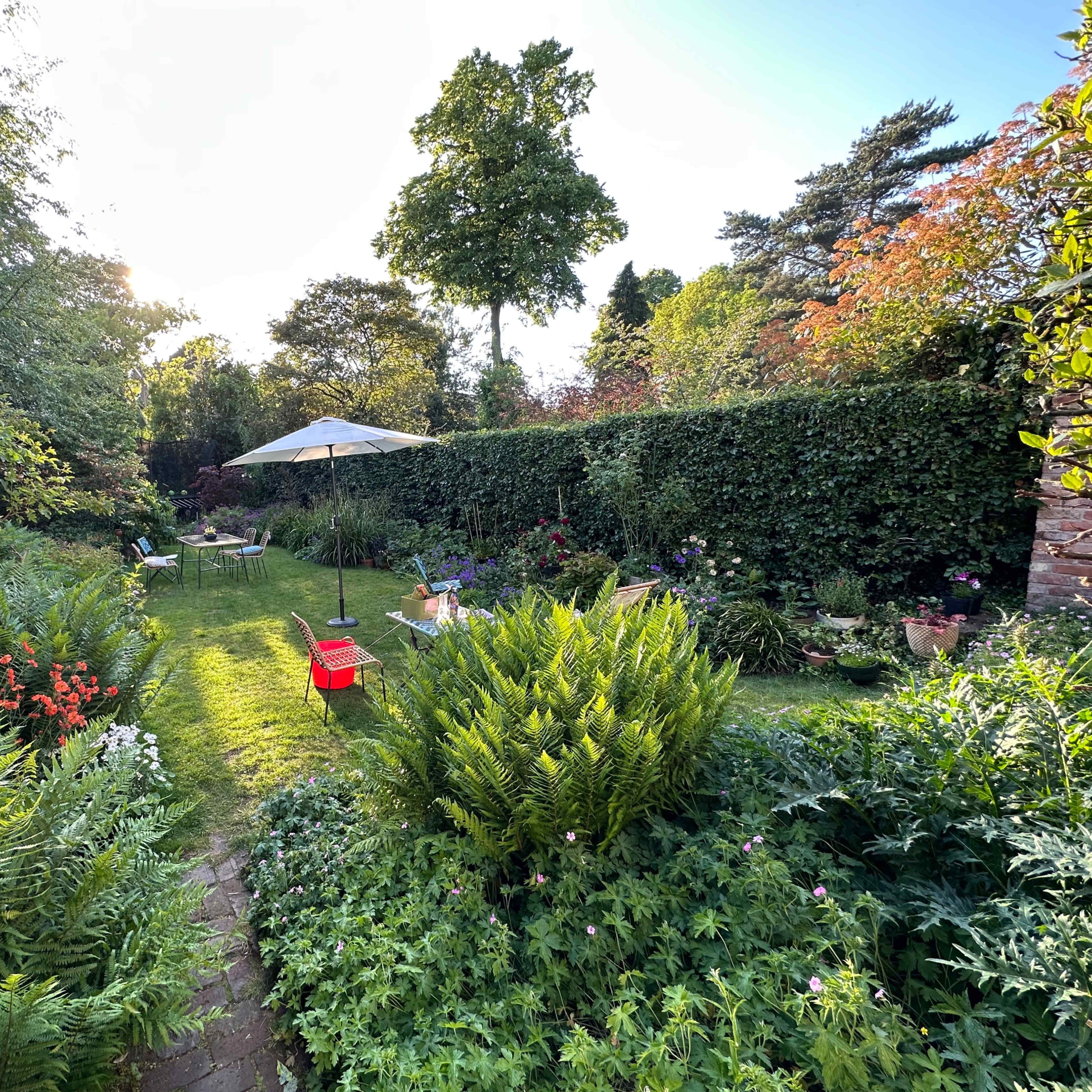 A well-maintained garden features a green lawn surrounded by various plants, with a large umbrella and chairs set up for relaxation.