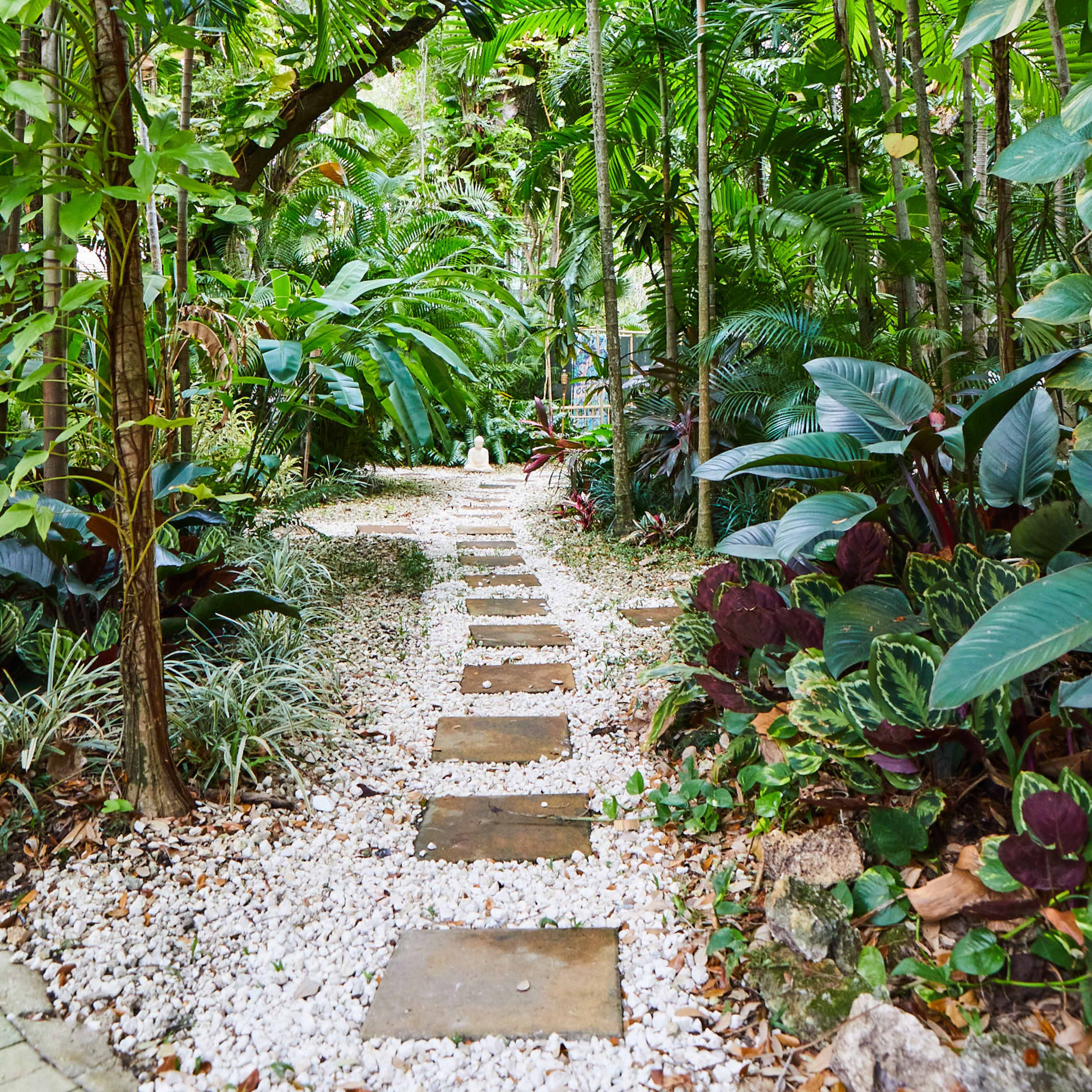 A stone path lined with white pebbles leads through a dense tropical garden filled with lush green plants.