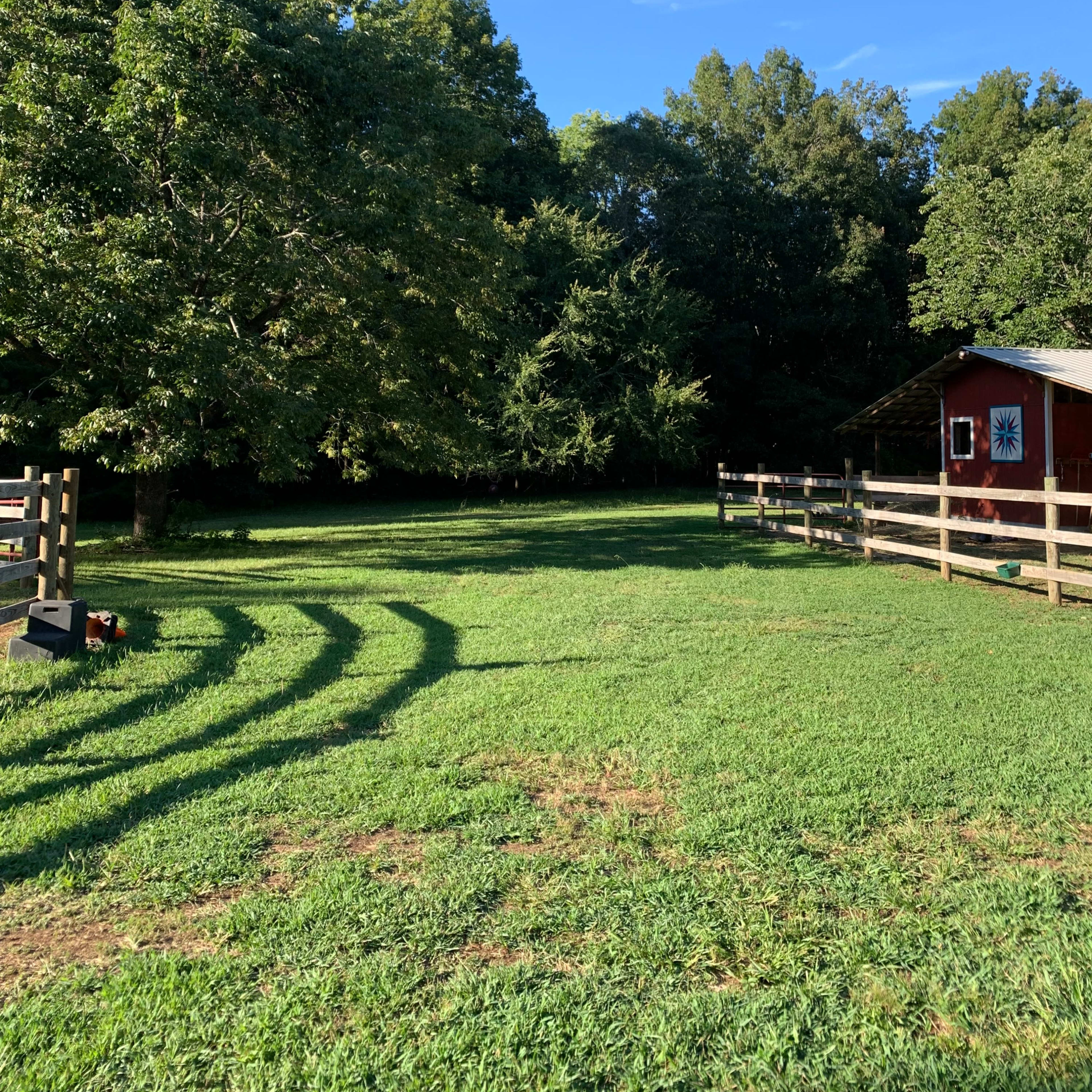 A grassy area with a red shed, a large tree, and a wooden fence under a clear blue sky.