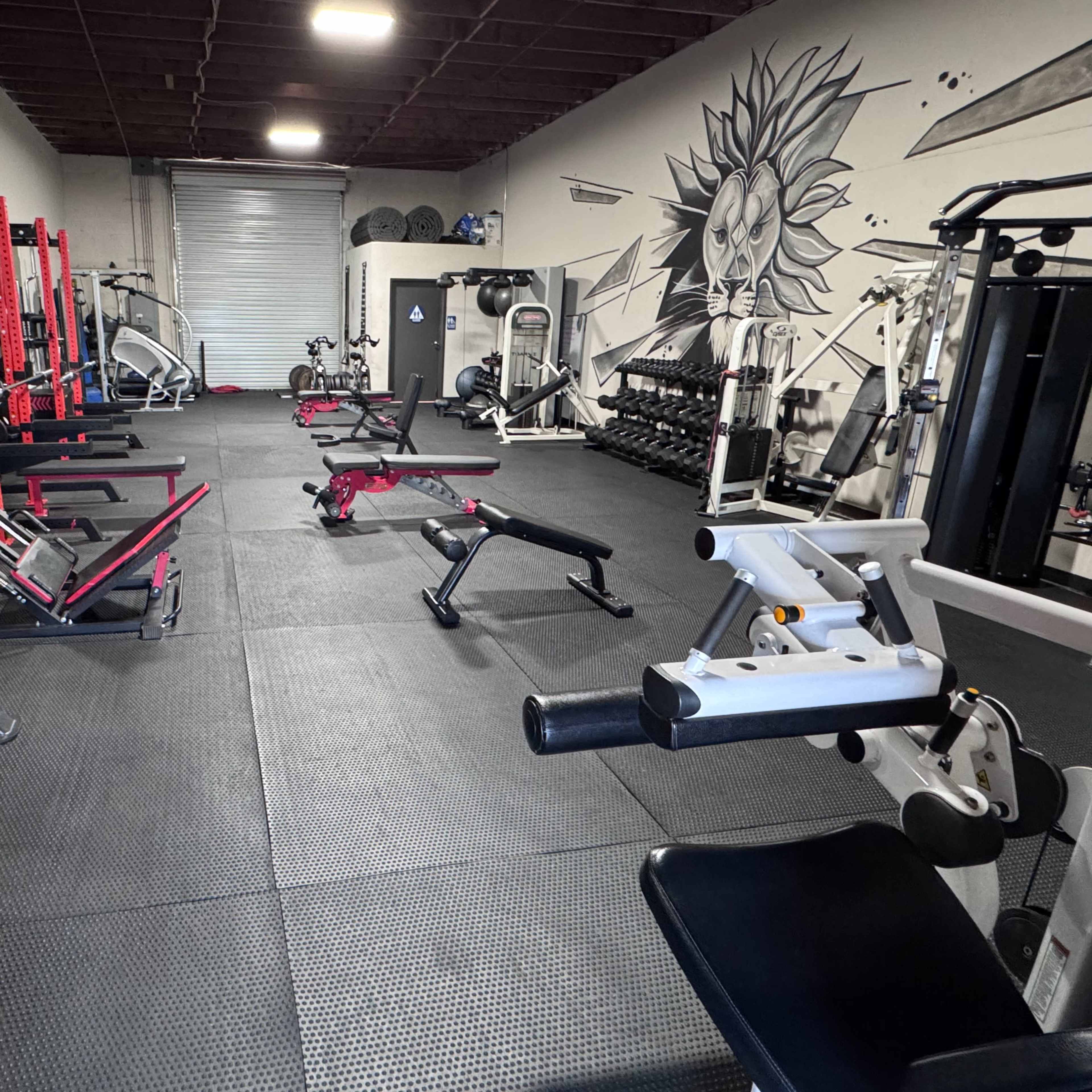 Exclusive Training & Therapy Space – Limited Spots Available! Image in Kearny Mesa, San Diego, CA