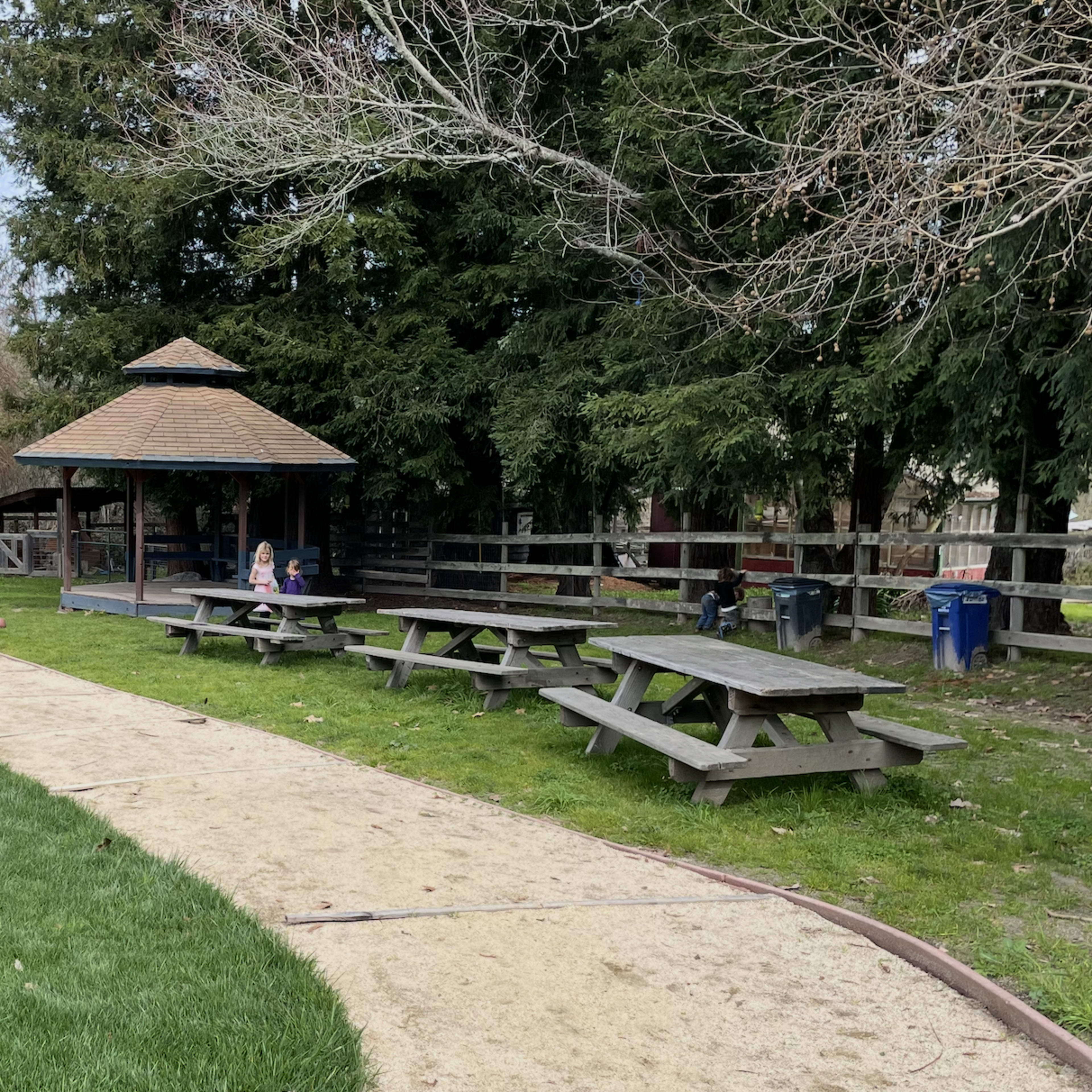 Grassy field with Picnic Benches, Gazebo, Playground, and More! Image in , Sebastopol, CA