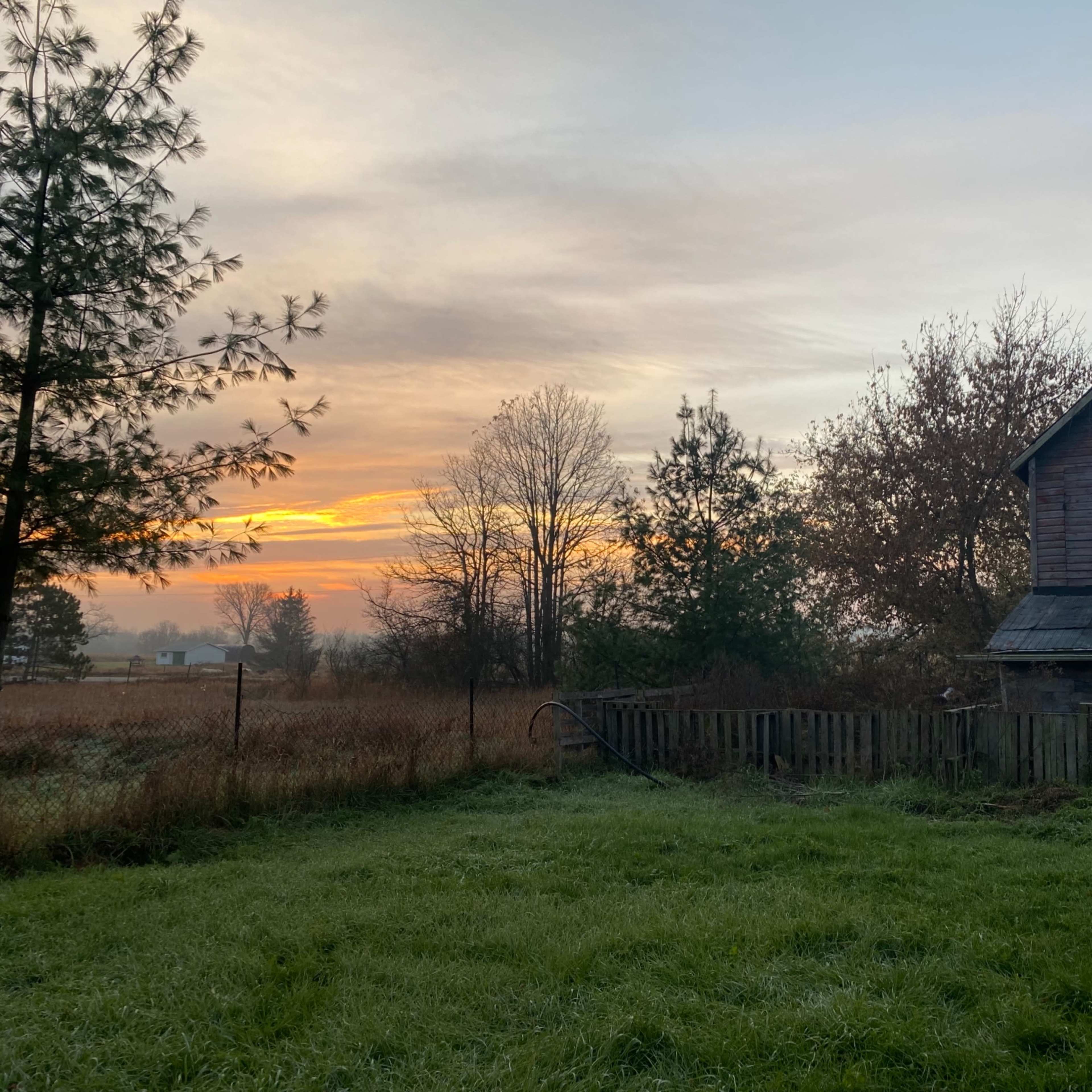 A weathered barn stands beside a misty field at sunrise, framed by trees and a fence.