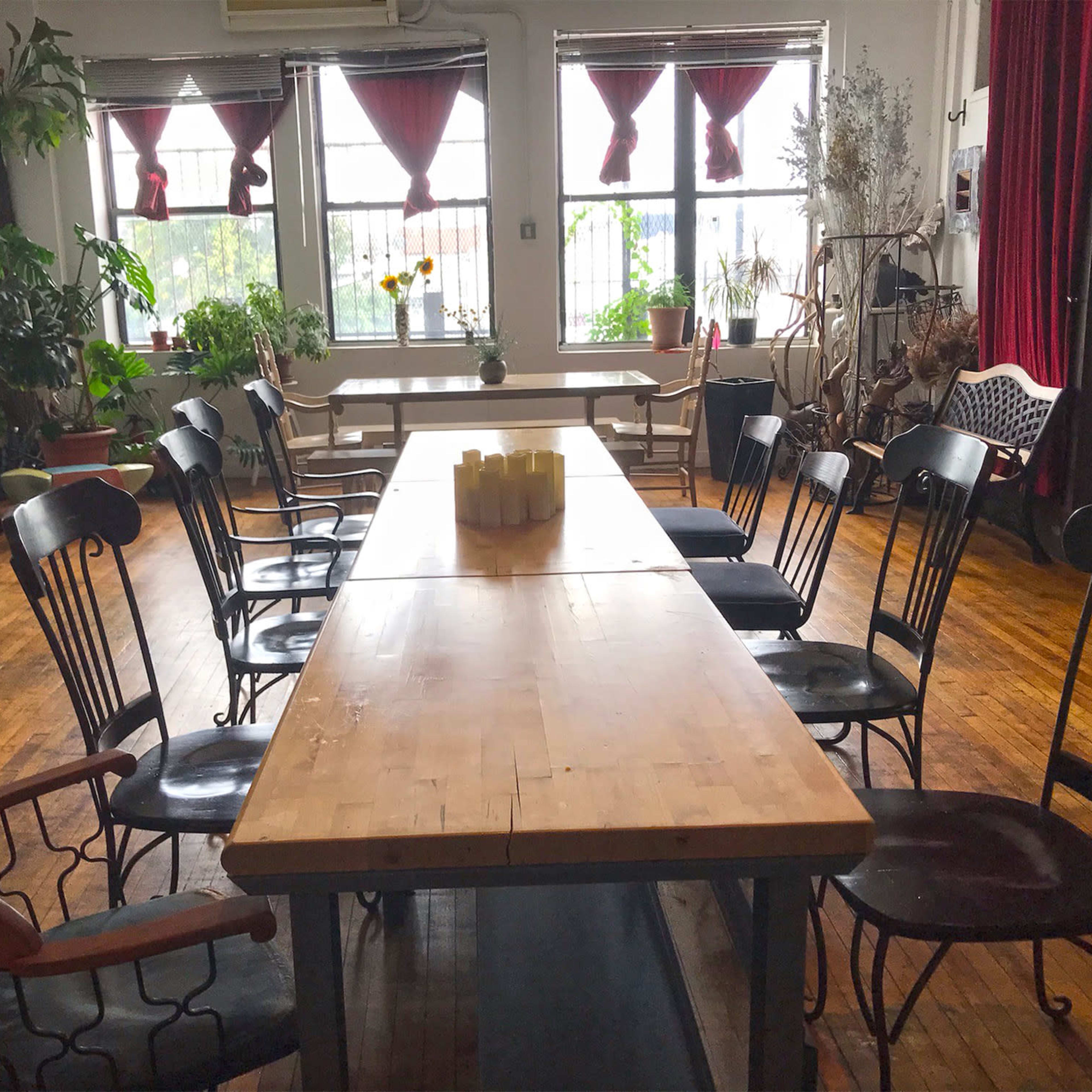 A long wooden table surrounded by various black chairs is set up in a well-lit room filled with plants and natural light.