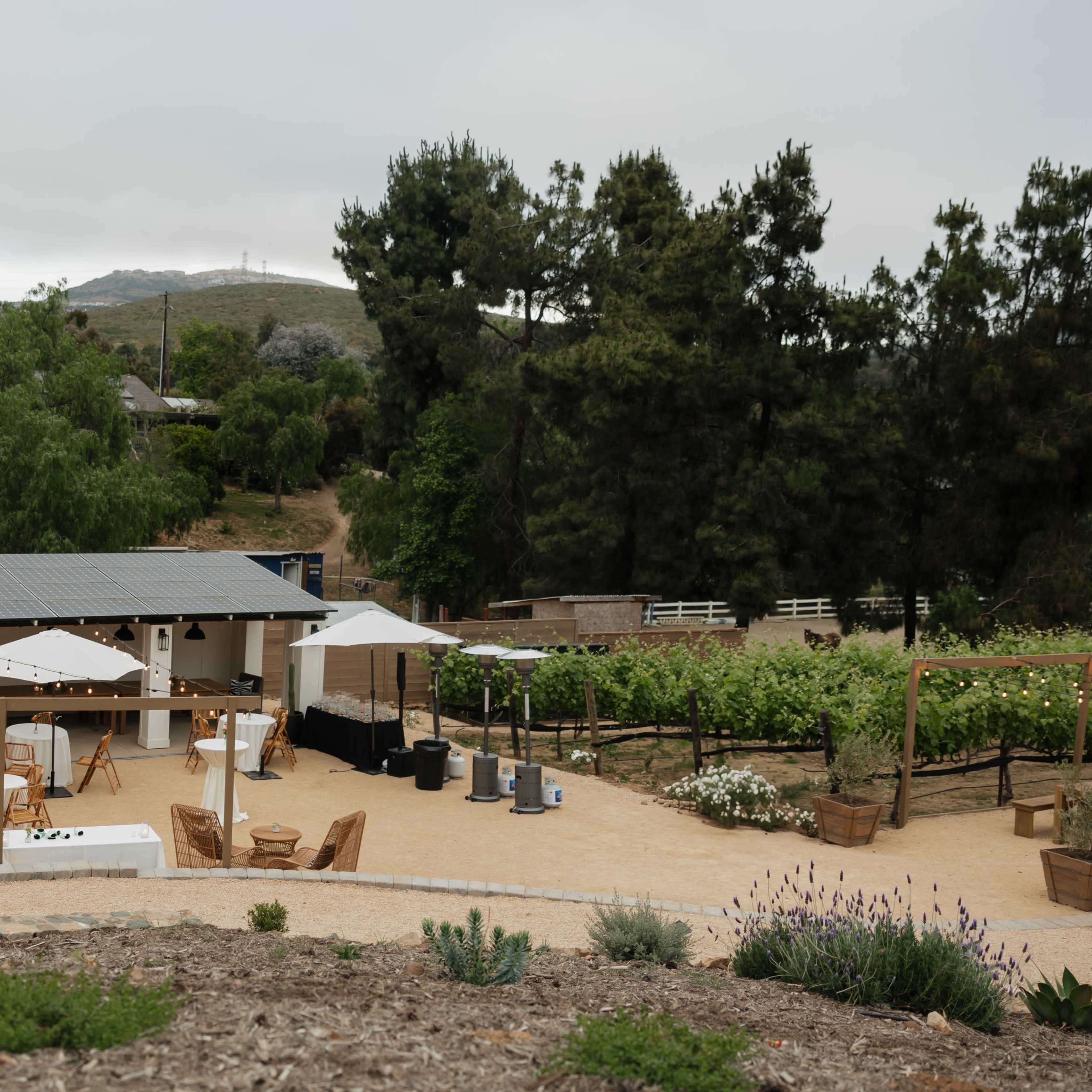 Private Vineyard Space Image in Elfin Forest, Escondido, CA