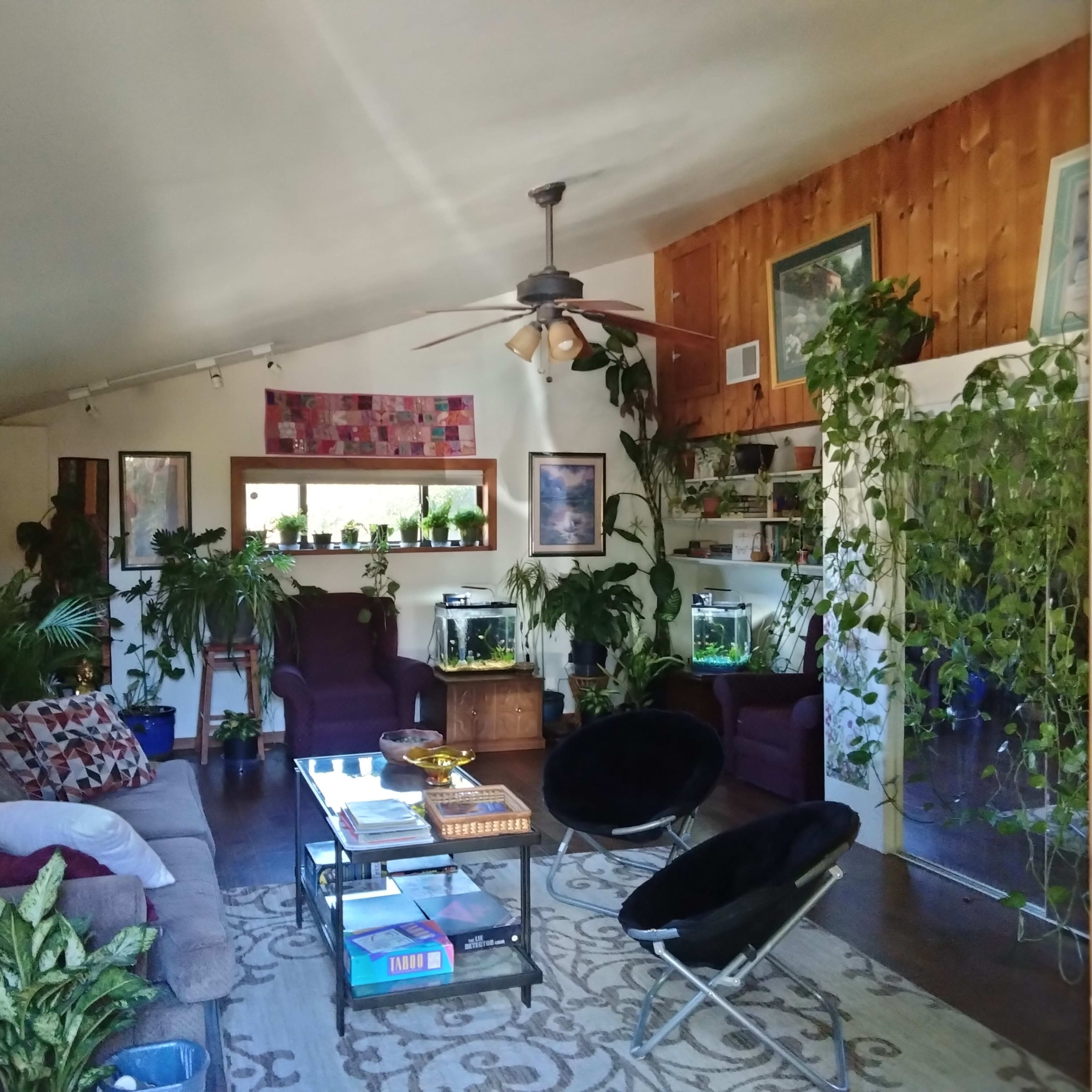 A bright living room features a mix of indoor plants, two purple armchairs, a coffee table, and fish tanks along the walls.