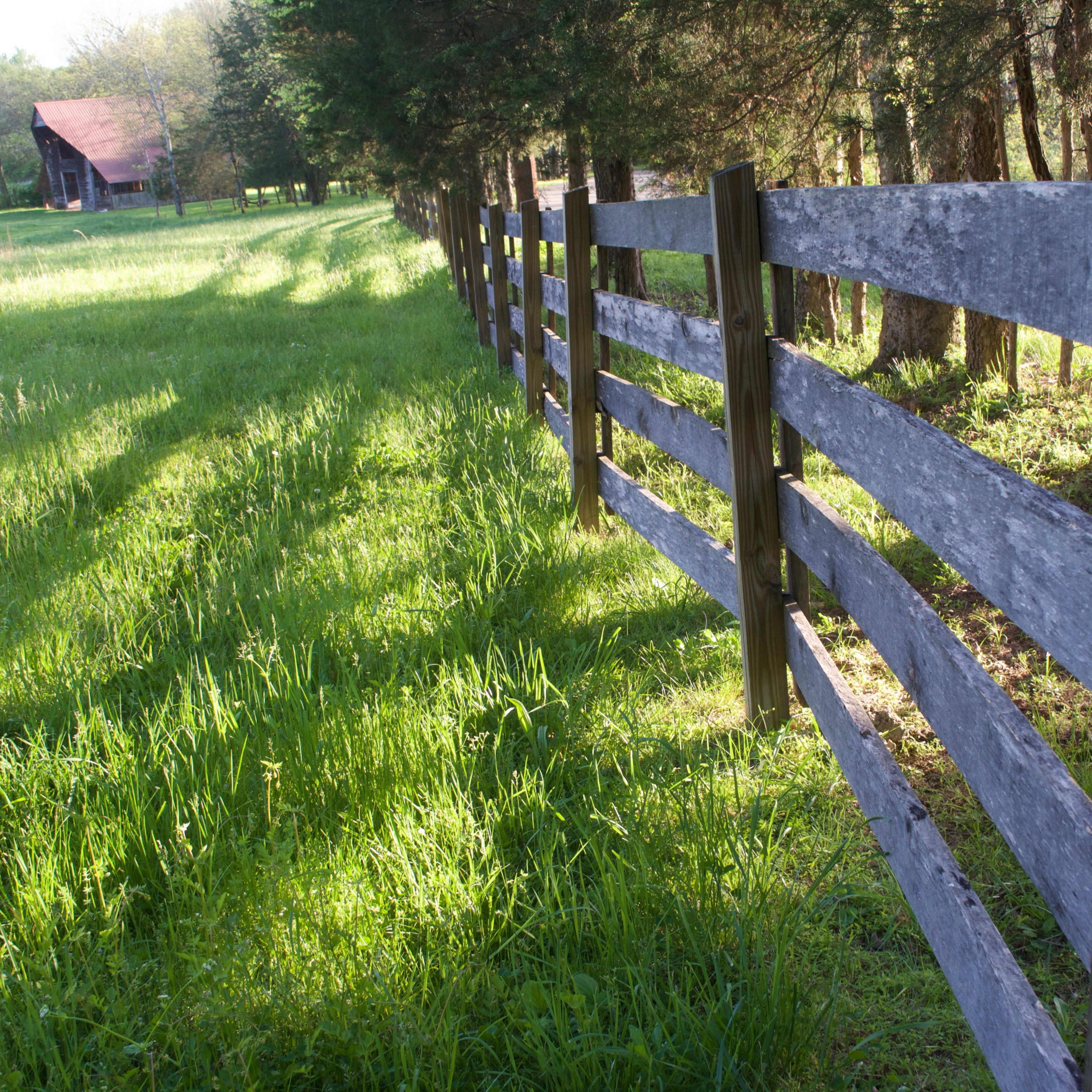 A weathered wooden fence lines a grassy field with a red-roofed barn visible in the background among trees.