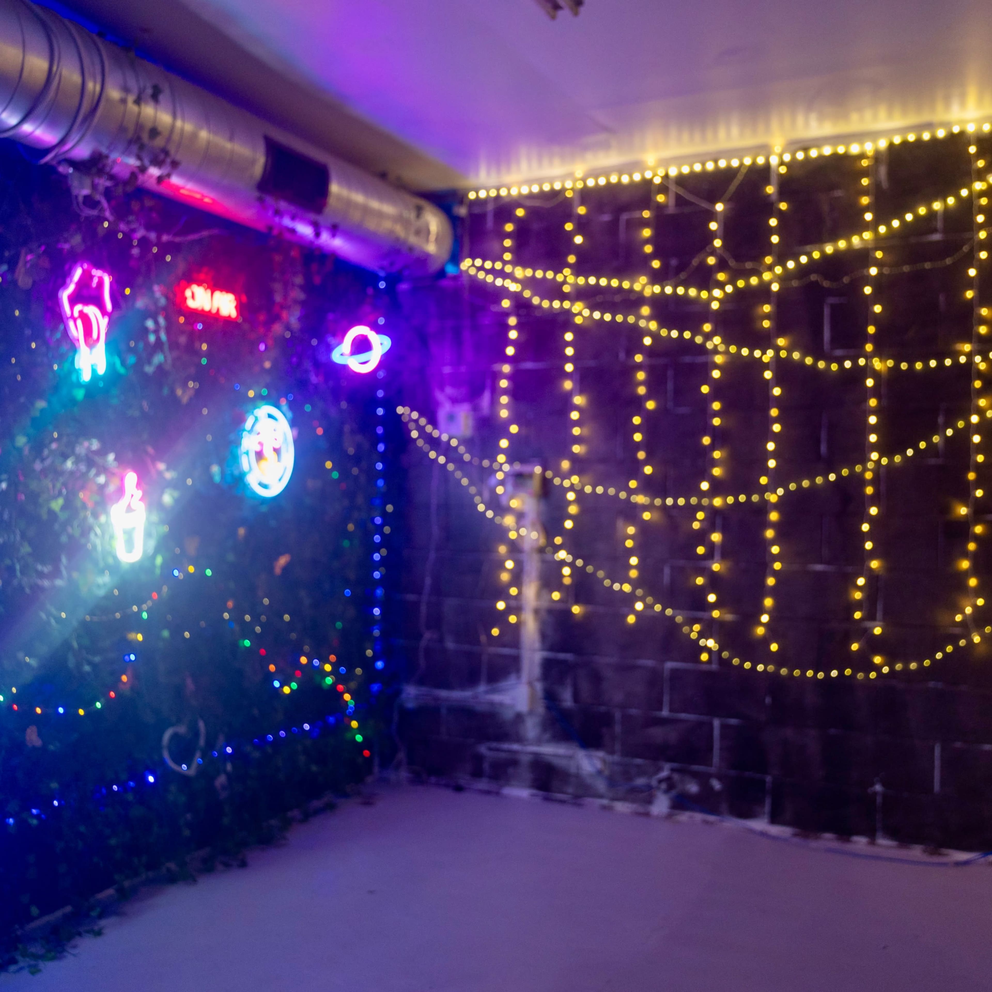 Neon Jungle Performance Wall Image in Near Northside, Houston, TX