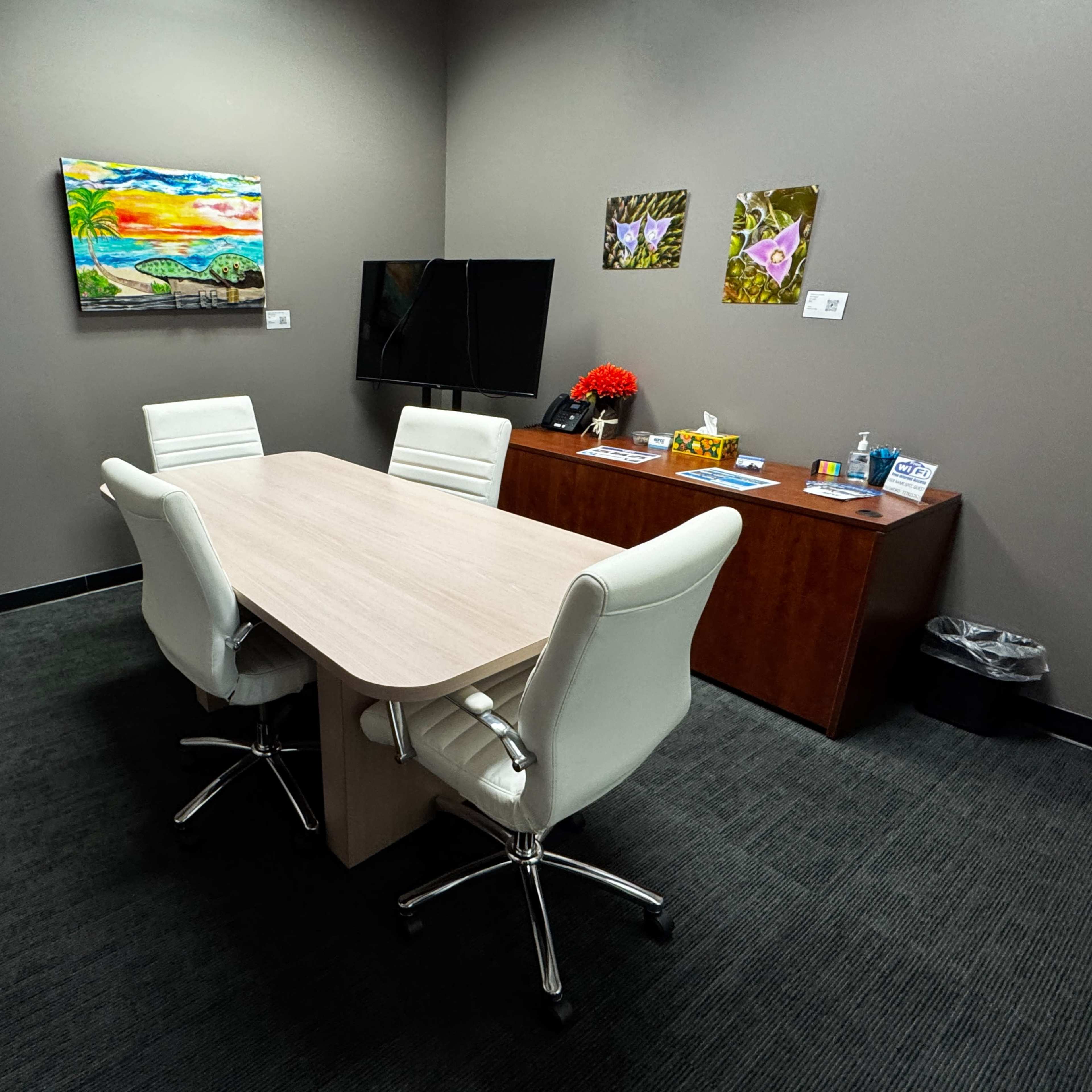 Private Meeting Room in North St. Pete | TV & Reception Image in Barcley Estates, St. Petersburg, FL