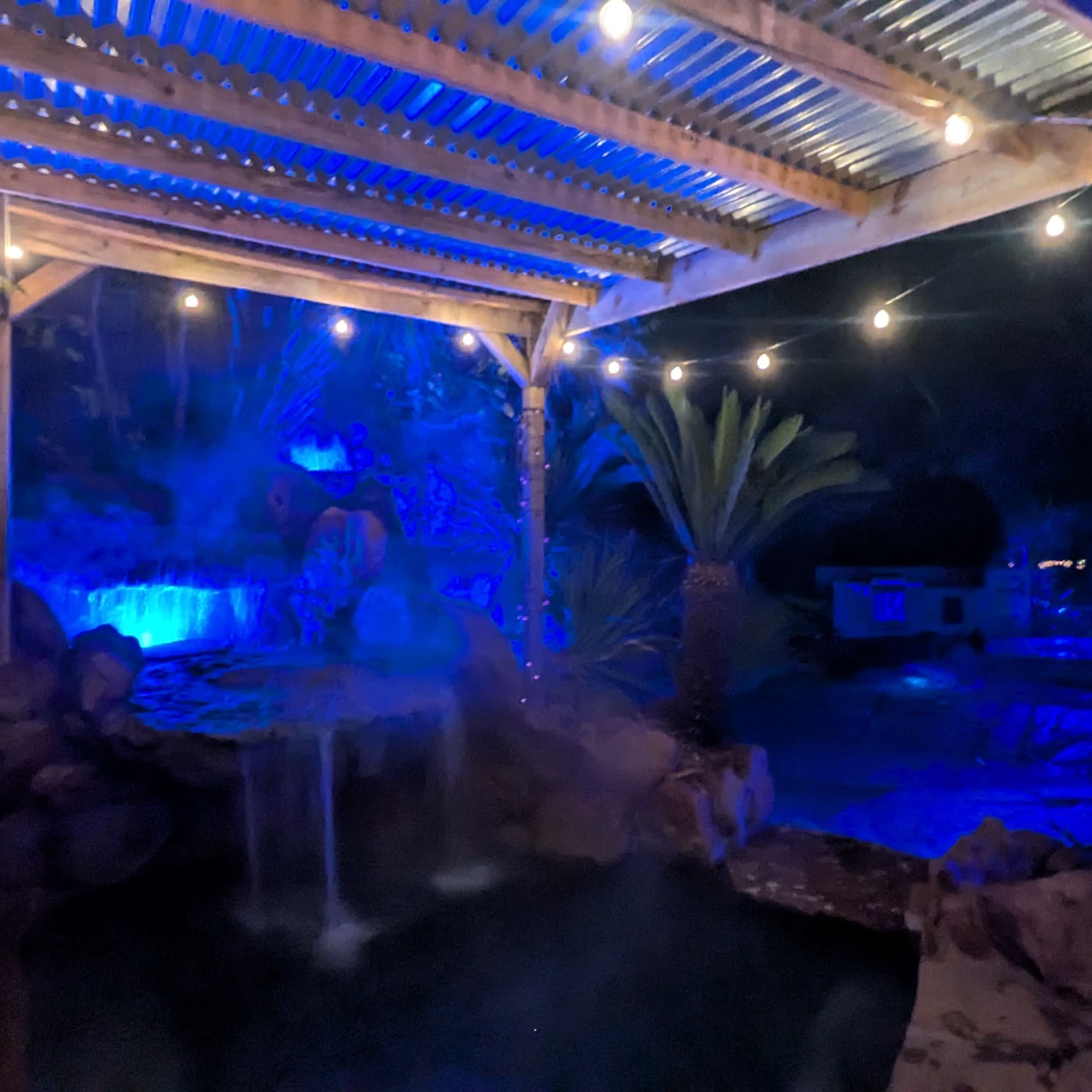Tropical Oasis Pool and Spa Image in , Conroe, TX