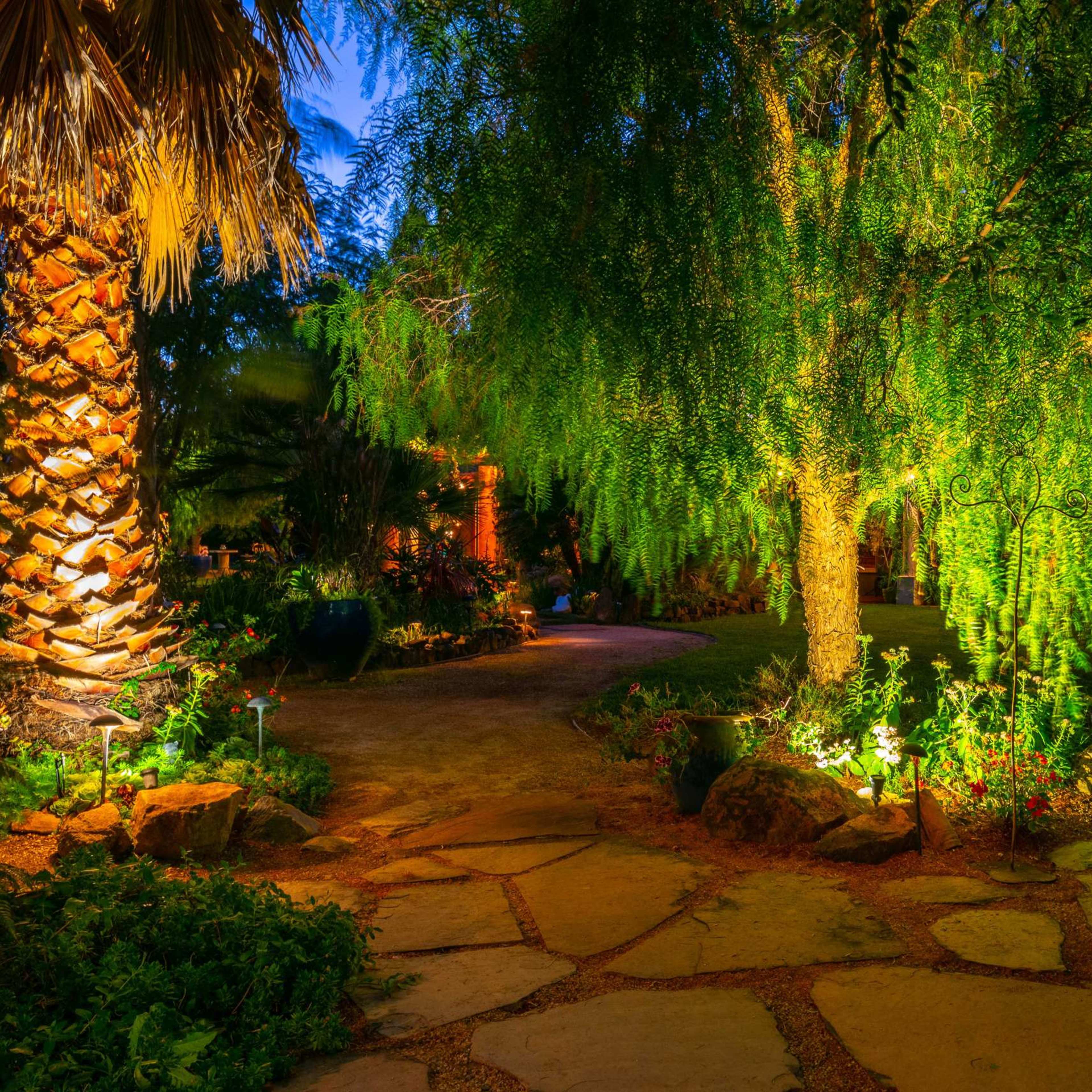 A pathway made of stone slabs winds through a garden illuminated by soft lighting and surrounded by various trees and plants.