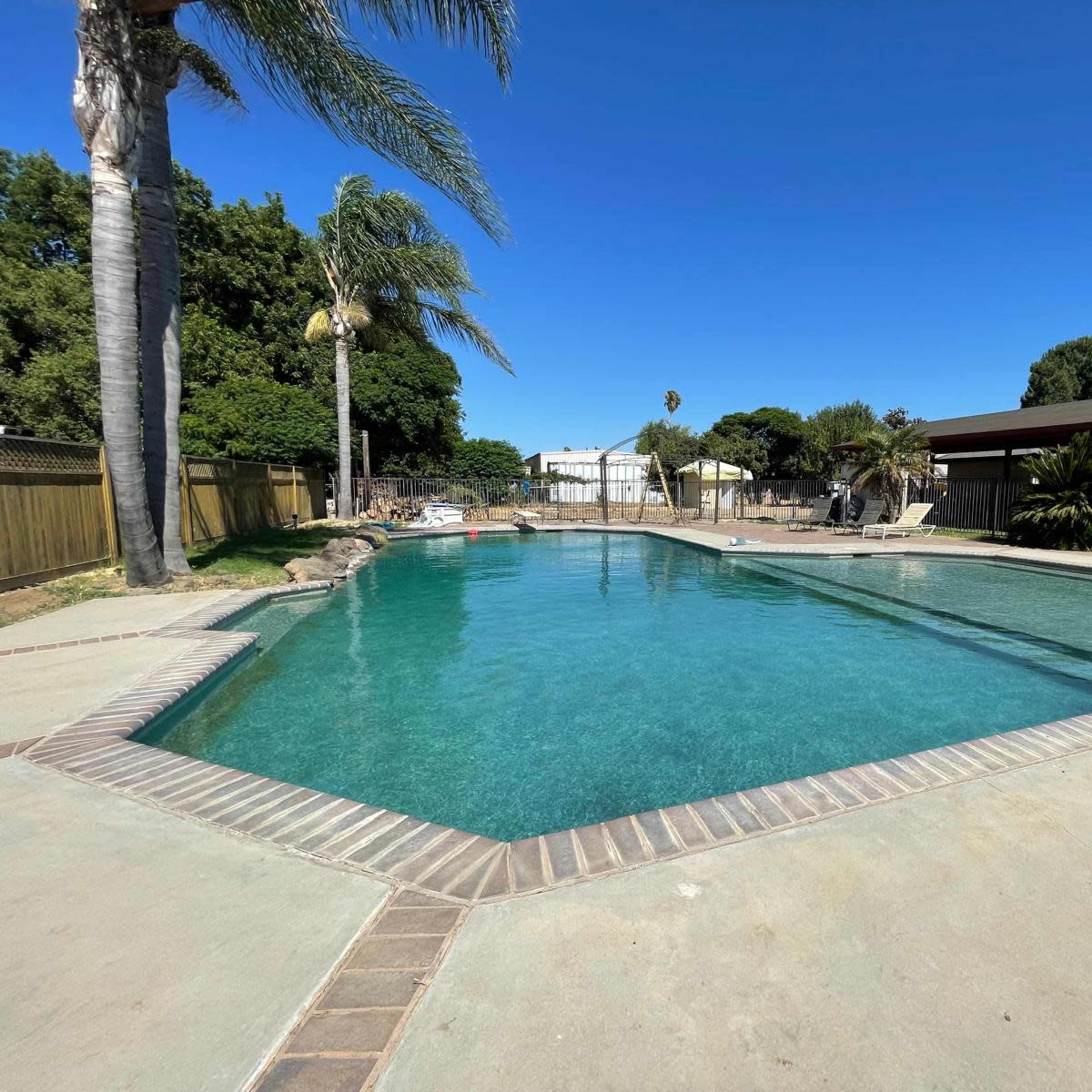 A rectangular swimming pool is surrounded by a concrete deck, featuring palm trees and a fenced area with a patio in the background.