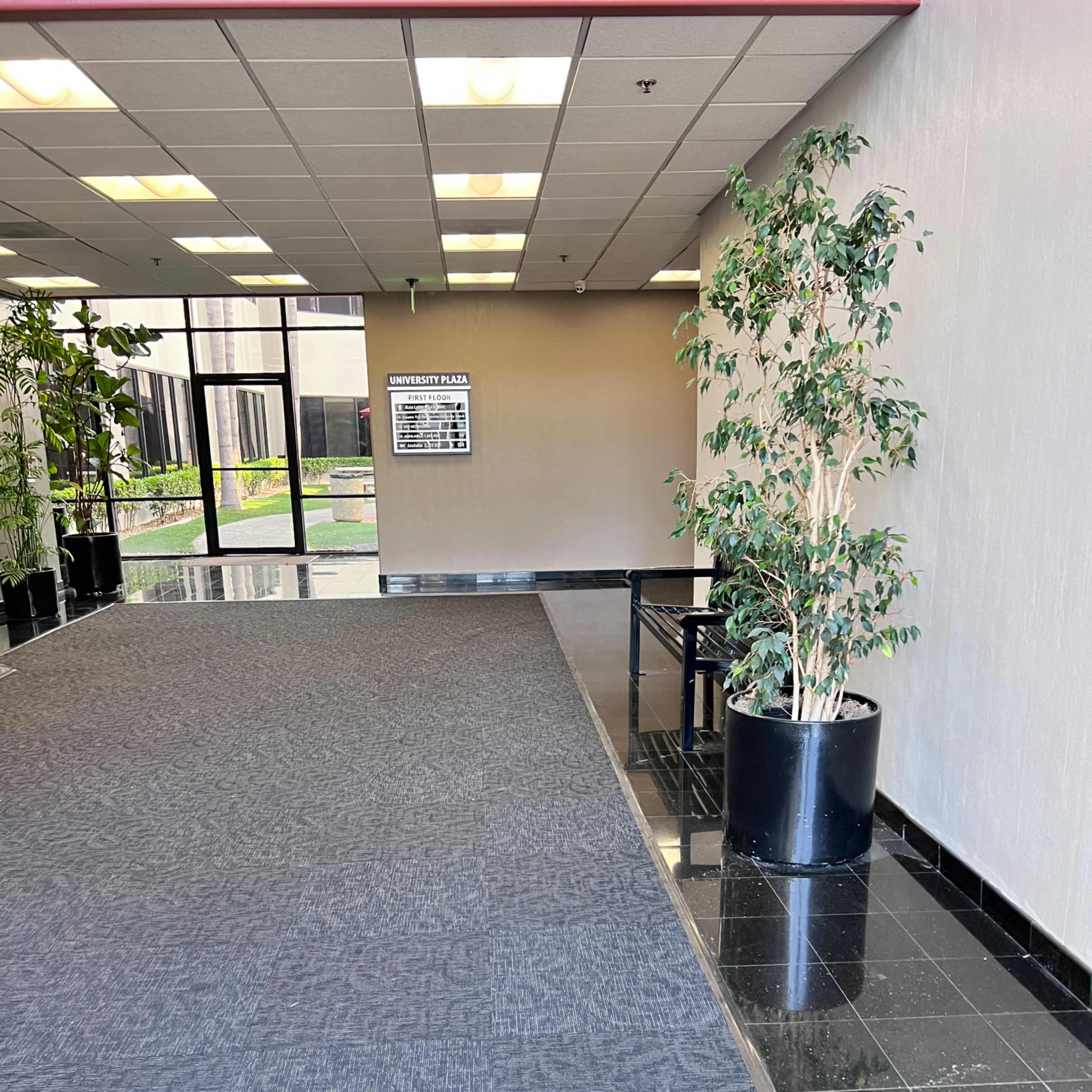 An indoor area with a patterned gray carpet and a potted plant next to the door, leading to an outdoor view through large glass windows.