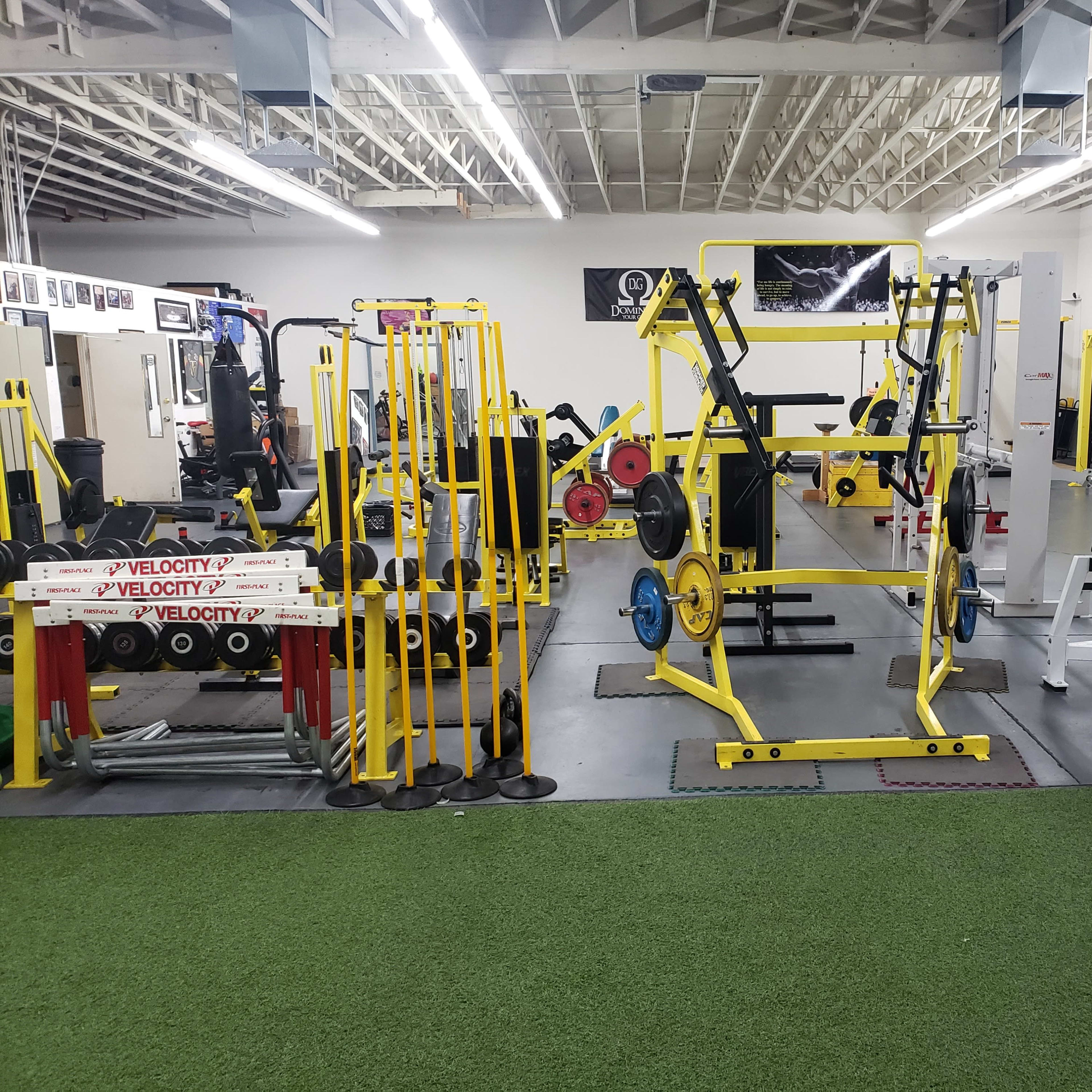 An organized gym with various weightlifting equipment and benches arranged around a turf area.