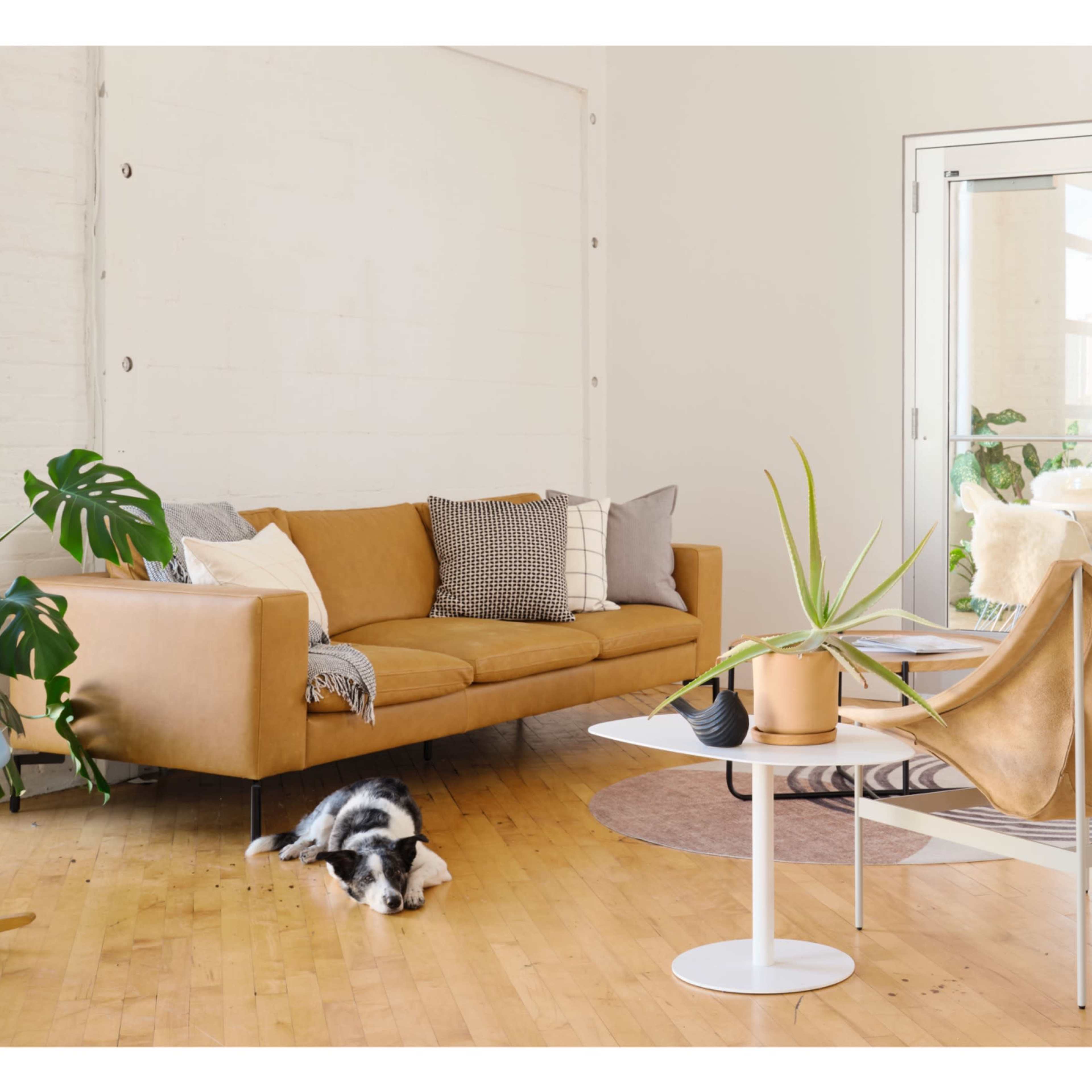 Charming Photo Studio + Event Space Image in Marcy-Holmes, Minneapolis, MN
