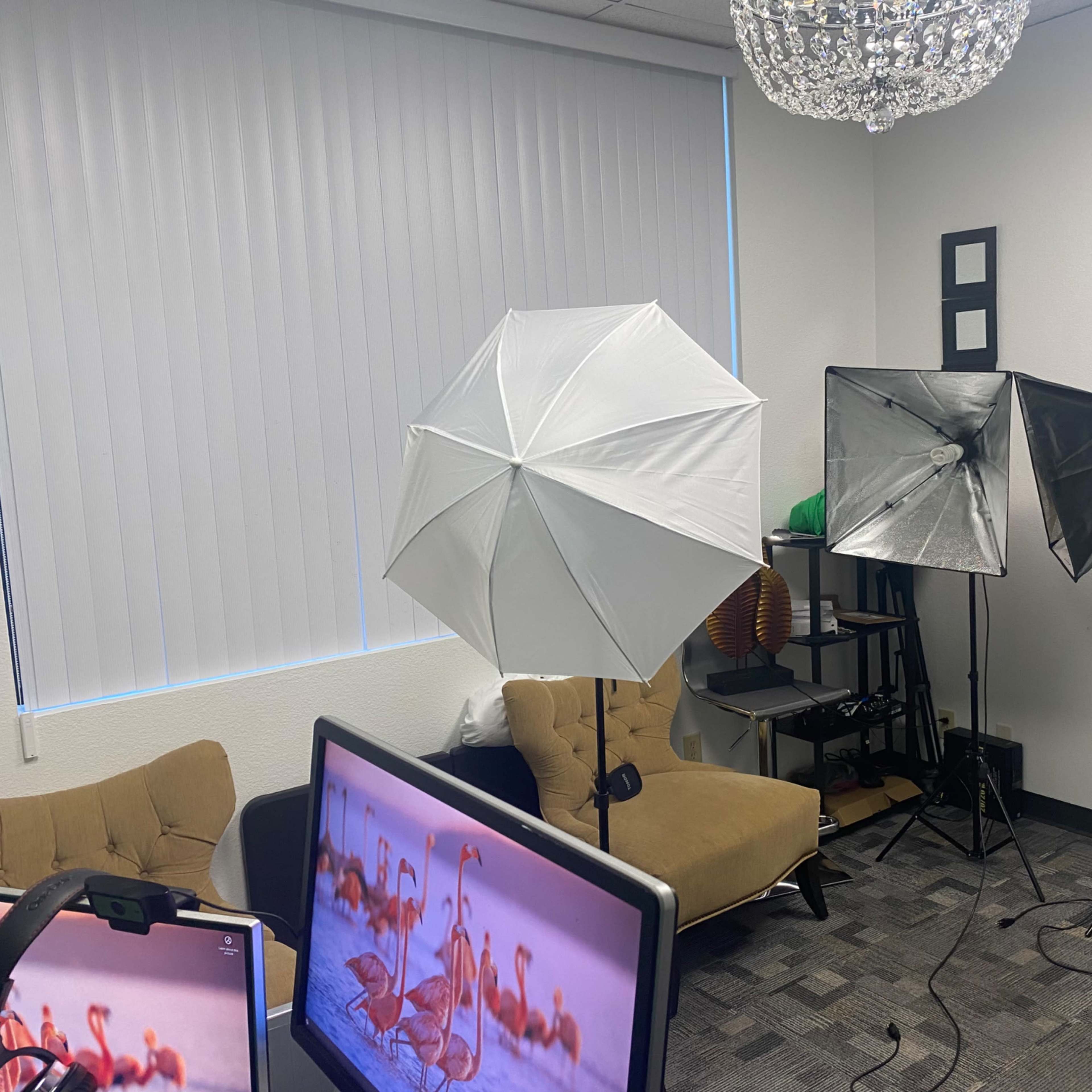 A small studio setup with two umbrella lights, a black softbox, and a computer displaying a pink flamingo-themed background.