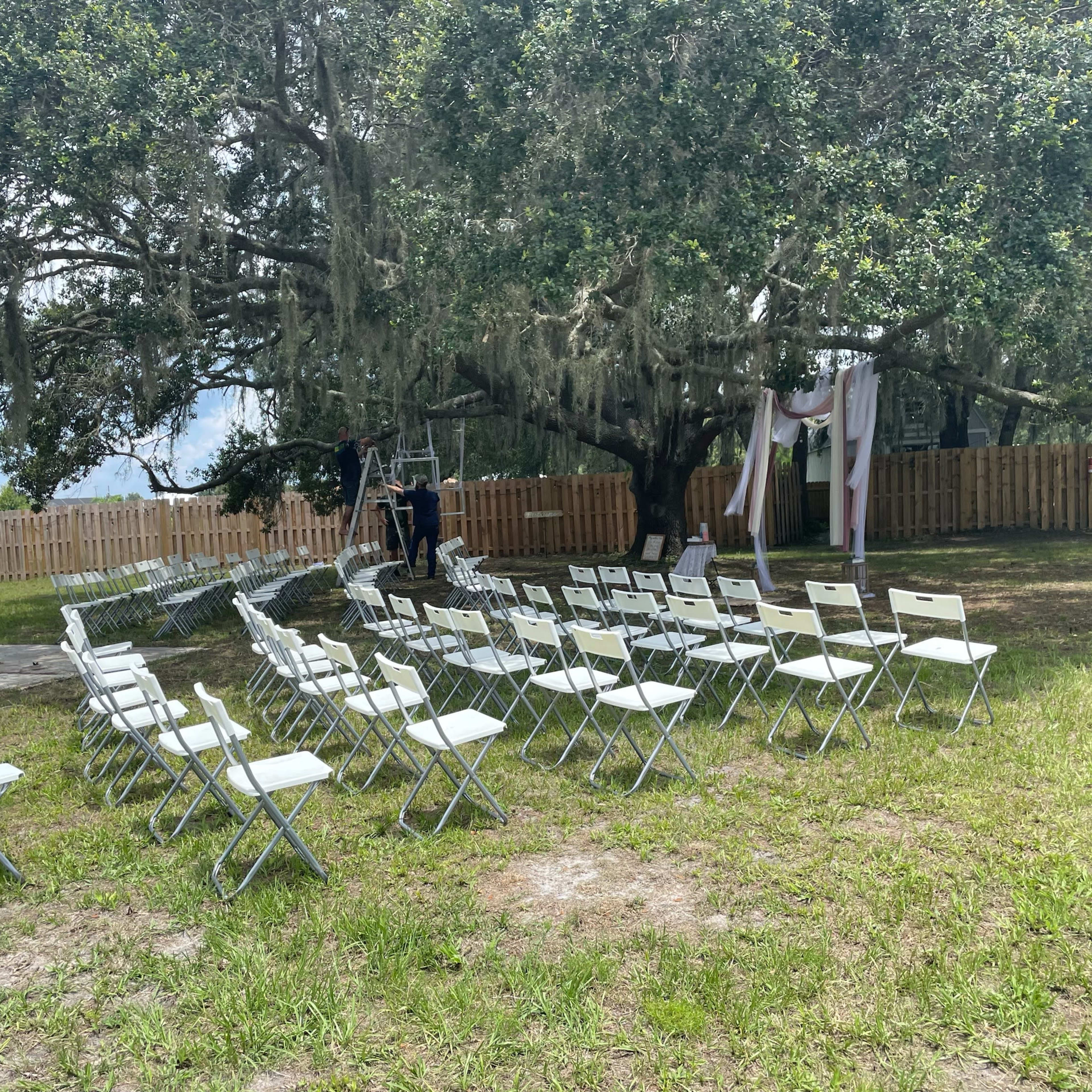 A set of white chairs is arranged in rows under an oak tree, with a decorative arch and a fenced area in the background.