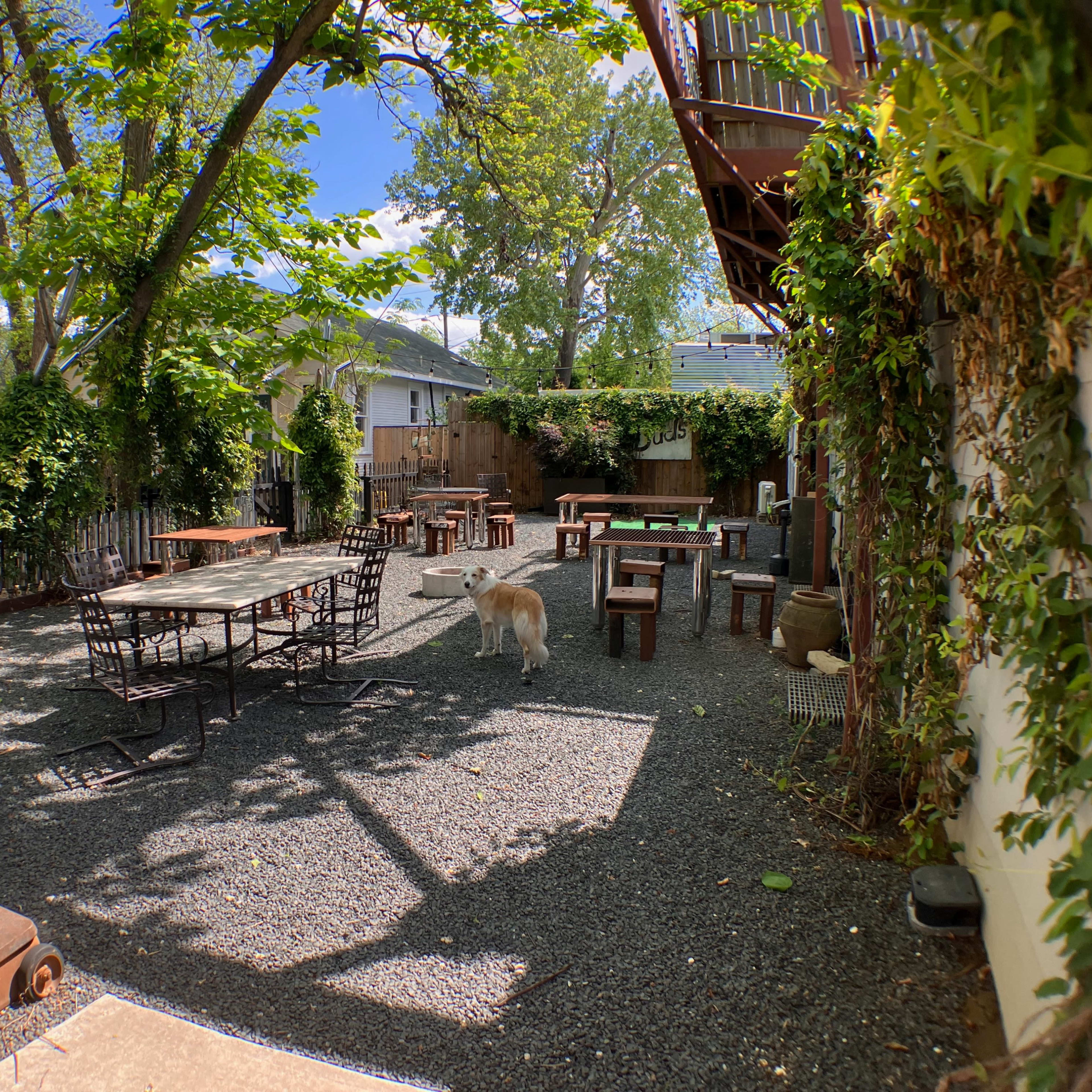An outdoor seating area with metal tables and chairs, surrounded by trees and gravel, with a dog walking through the space.