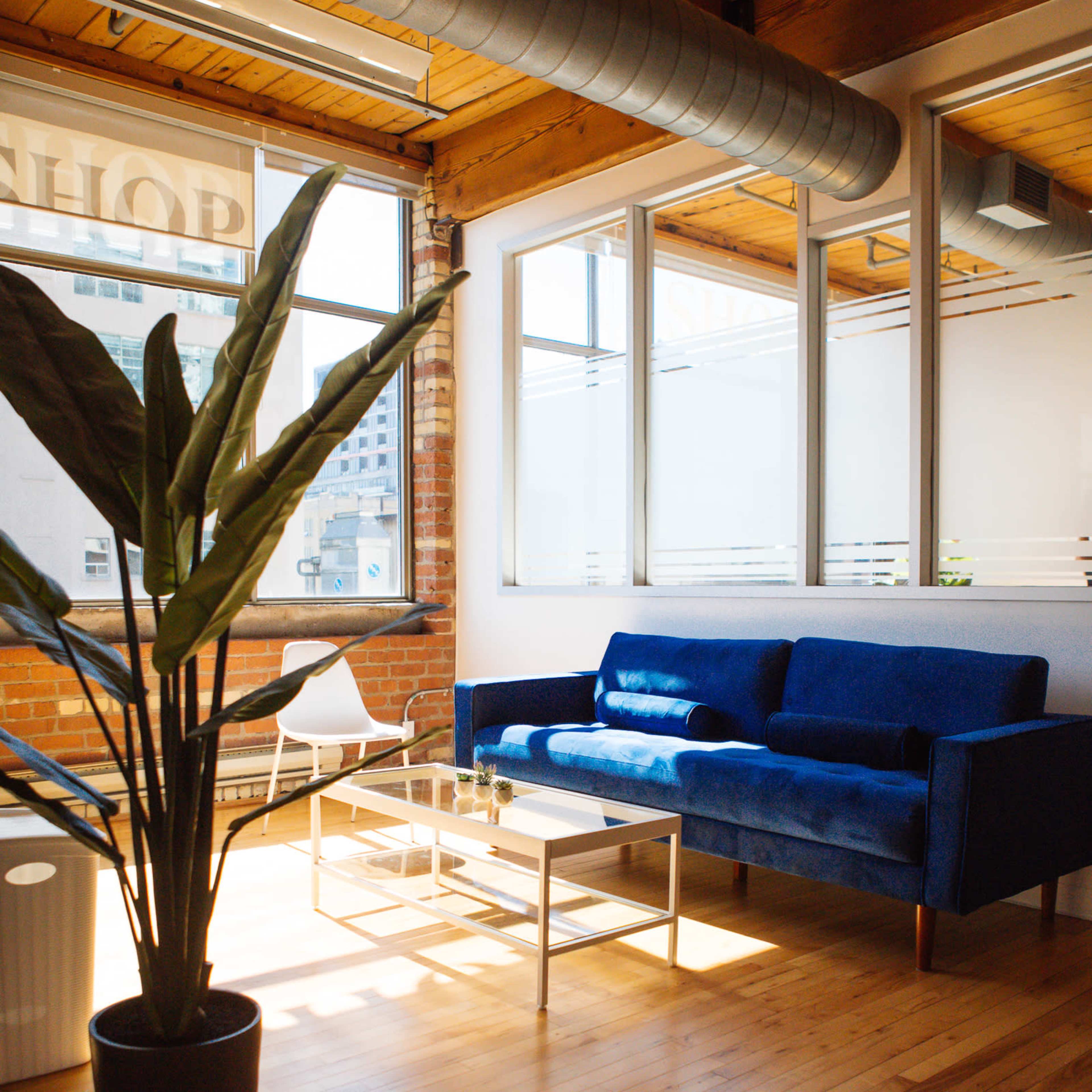 A bright, modern lounge area featuring a blue sofa, a coffee table, and a large potted plant beside a window in a room with wooden flooring.