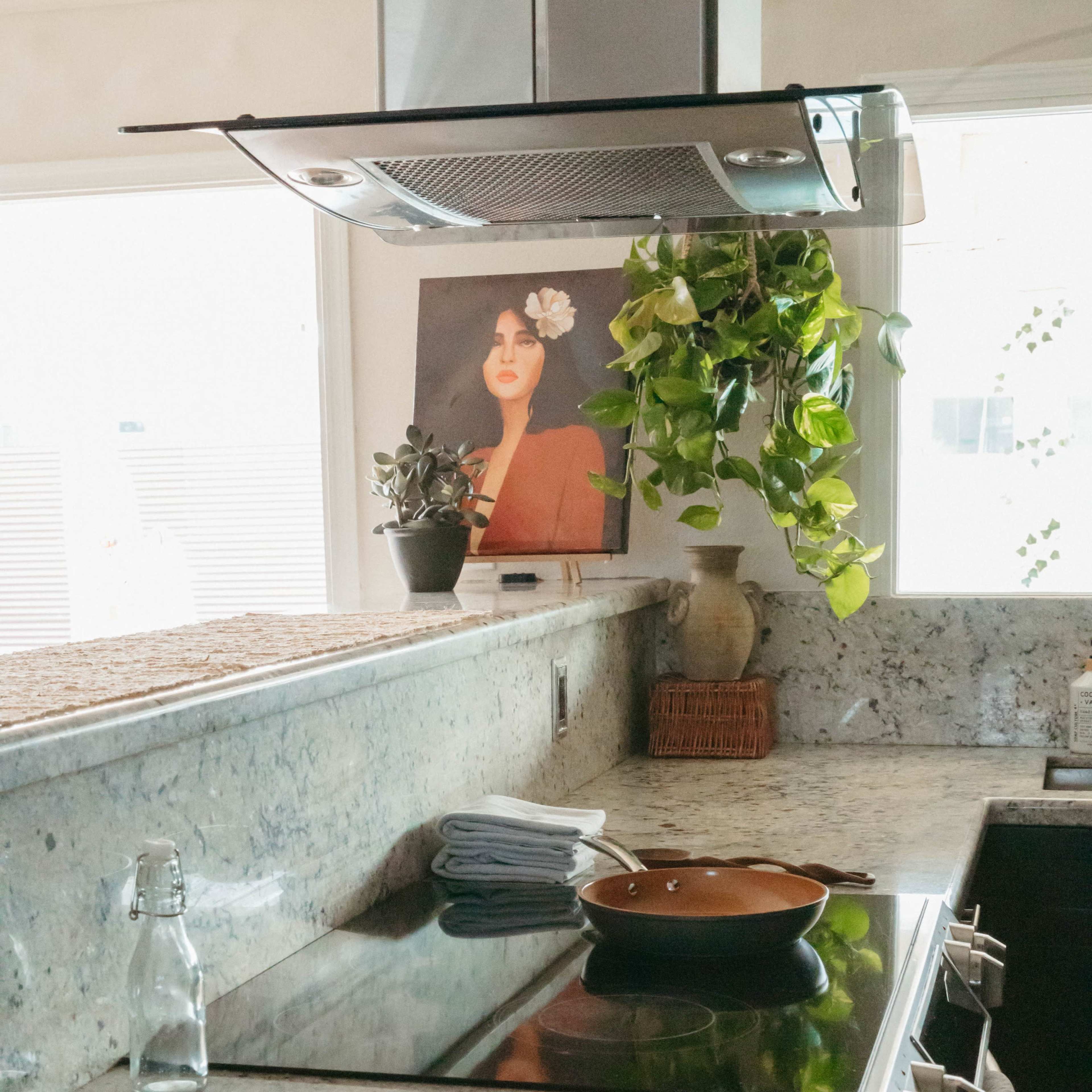 A modern kitchen with a granite countertop, a stovetop, a plant, and a framed portrait on the wall.