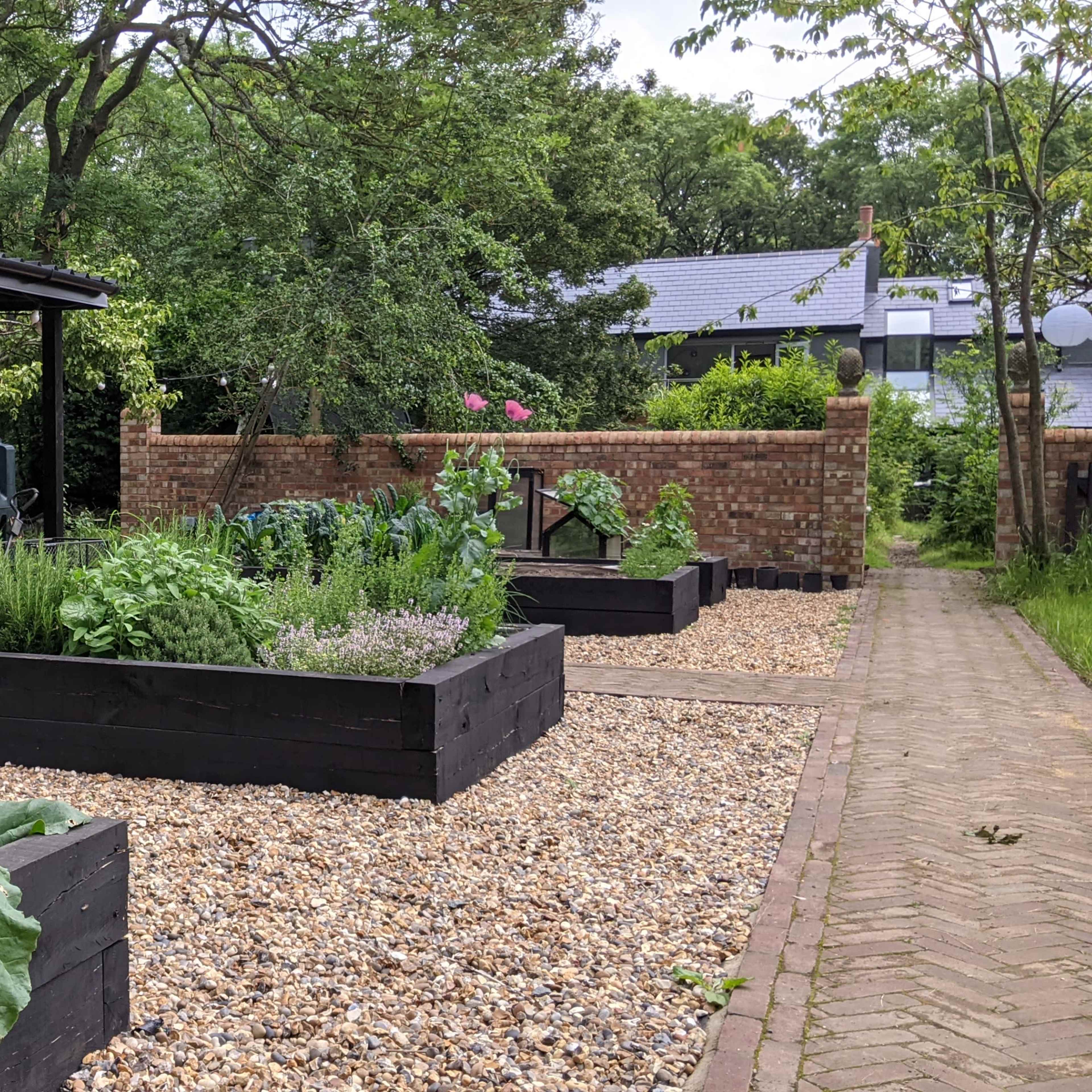 A garden features raised black wooden beds filled with vegetables and herbs alongside a gravel pathway leading to a black shed.