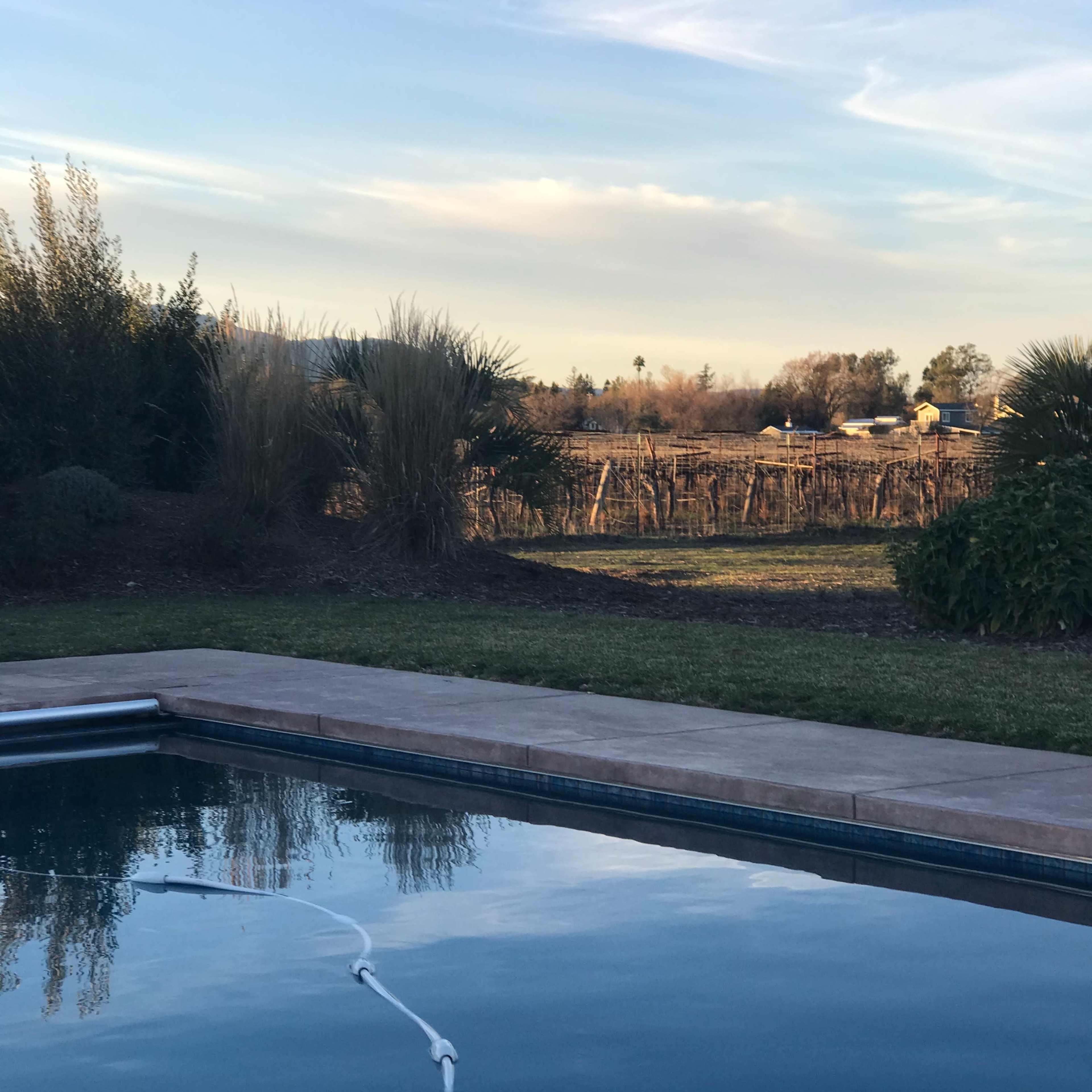 A swimming pool with a clear reflection, bordered by grass, and a vineyard in the background under a blue sky.