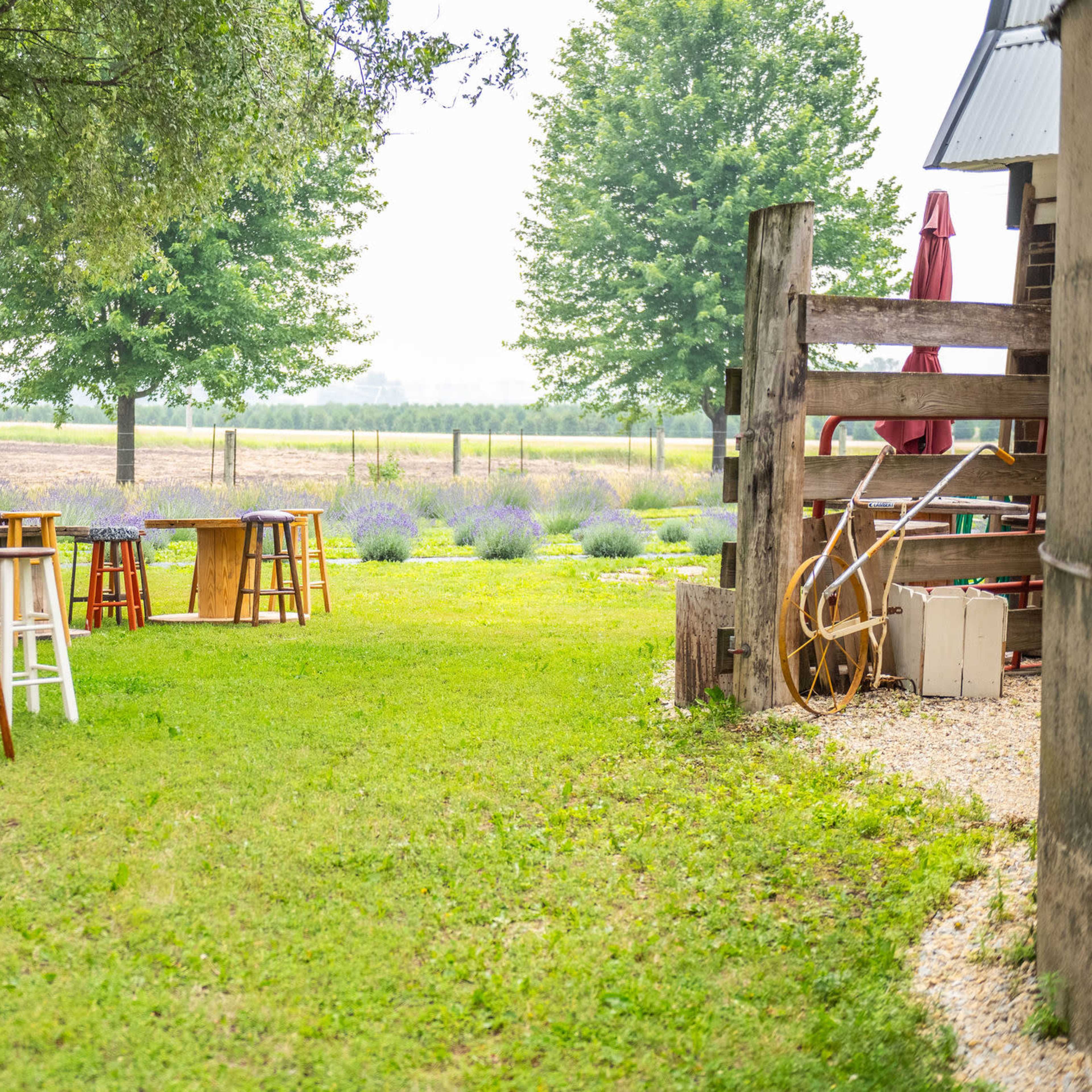 Historic Lavender Farm Image in Eureka Township, Farmington, MN